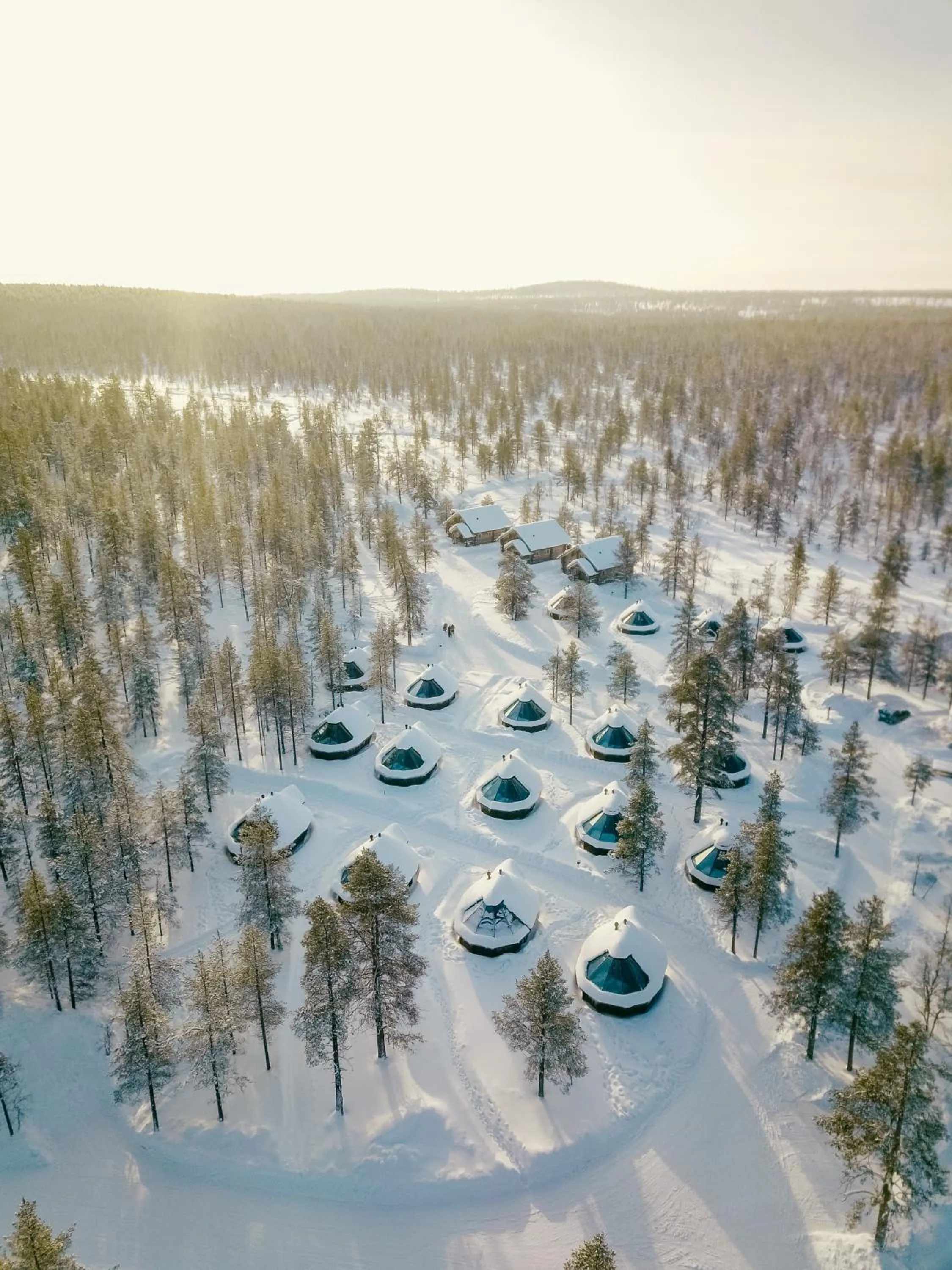 Day in Wilderness Hotel Muotka & Igloos