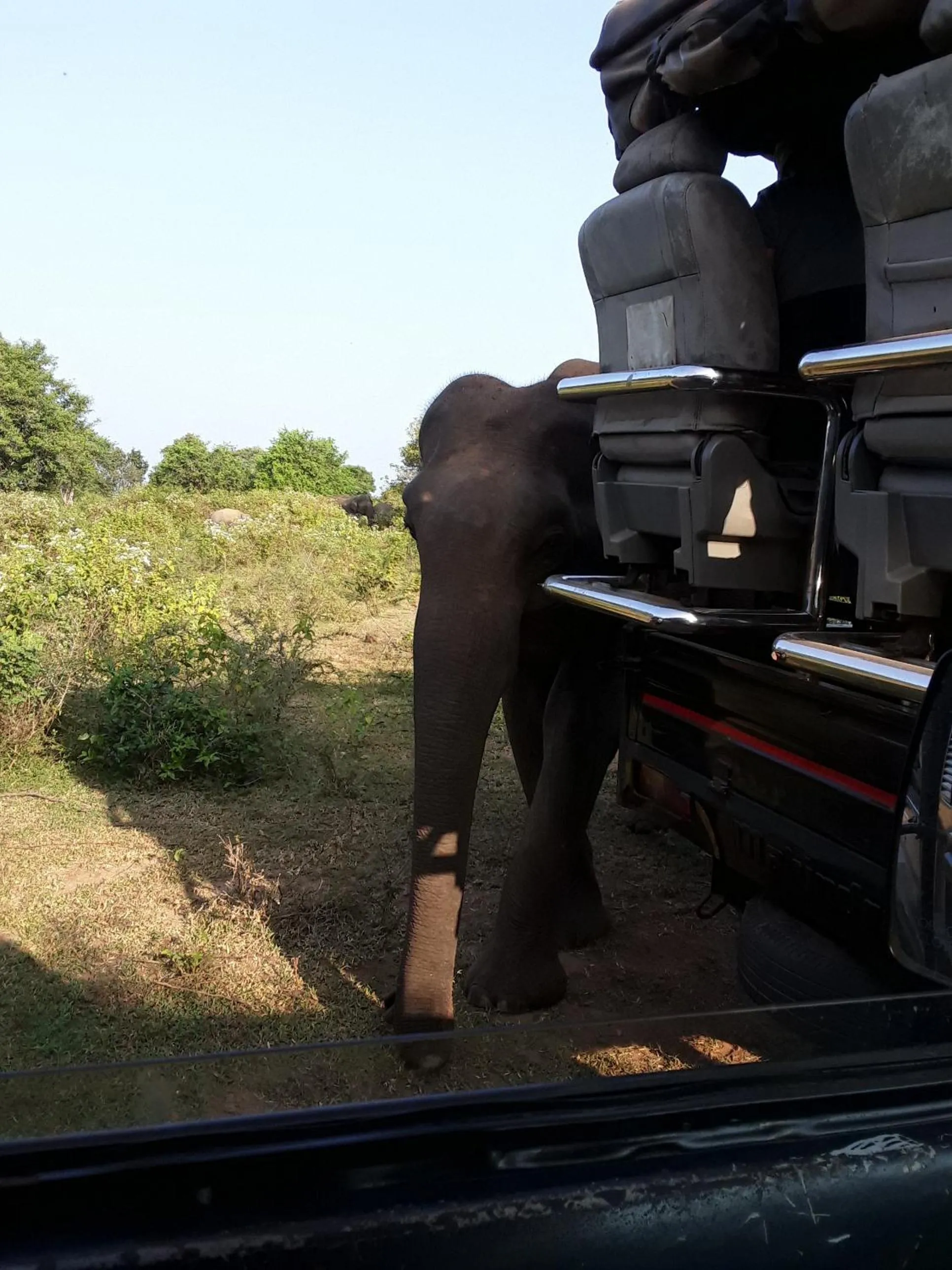 Activities in Green heaven safari resort Udawalawa