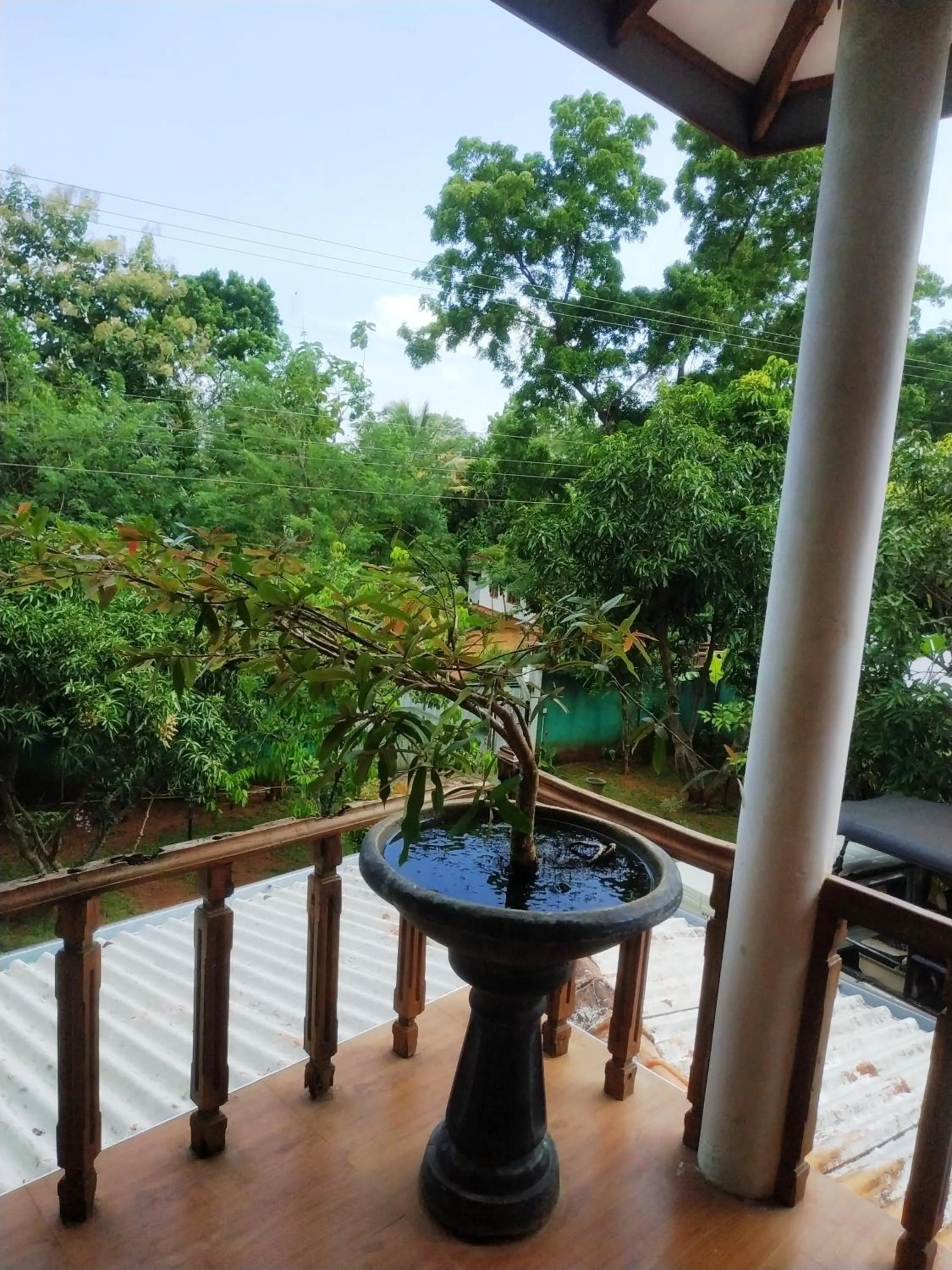 Garden in Green heaven safari resort Udawalawa