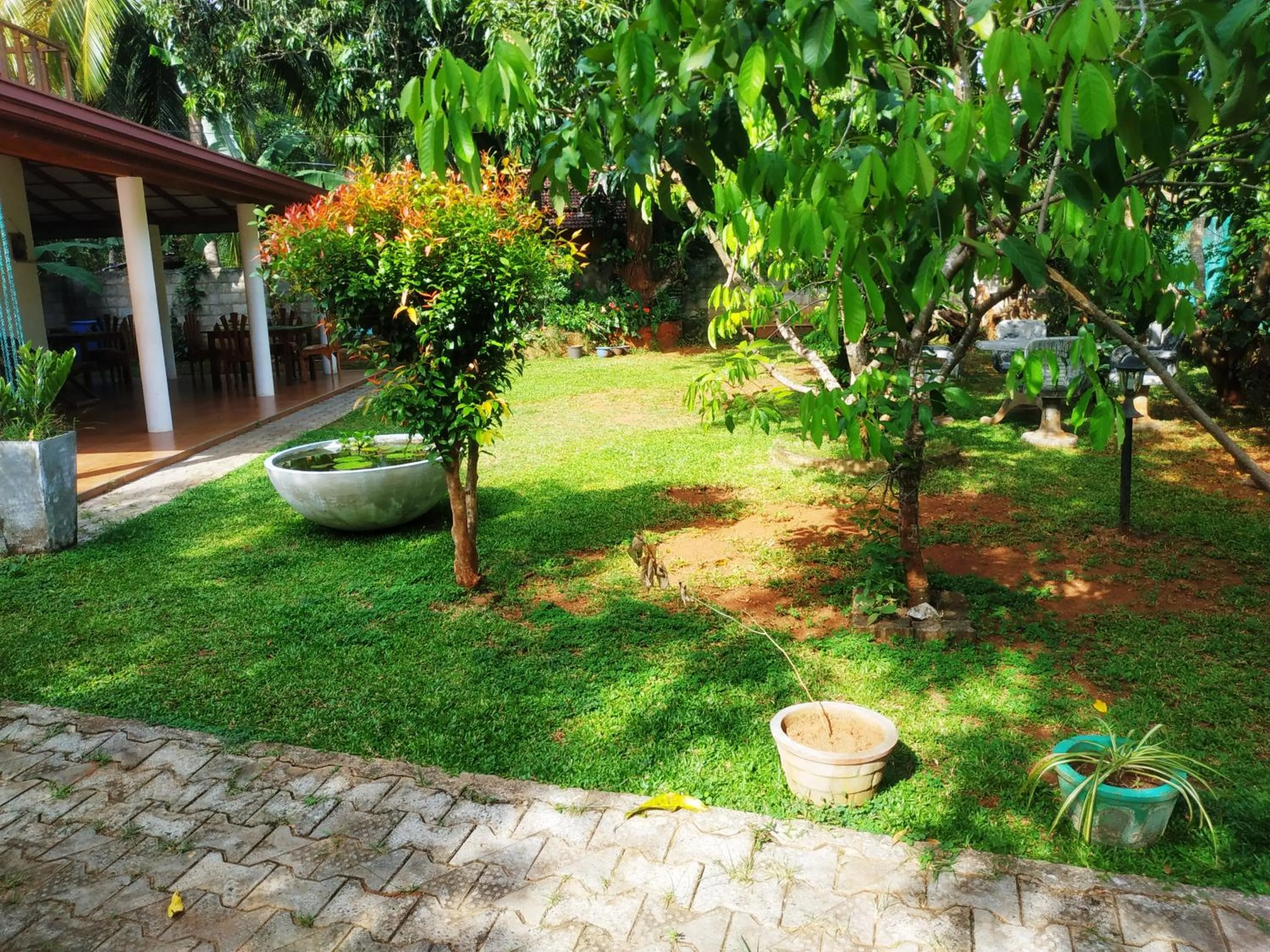 Garden view in Green heaven safari resort Udawalawa