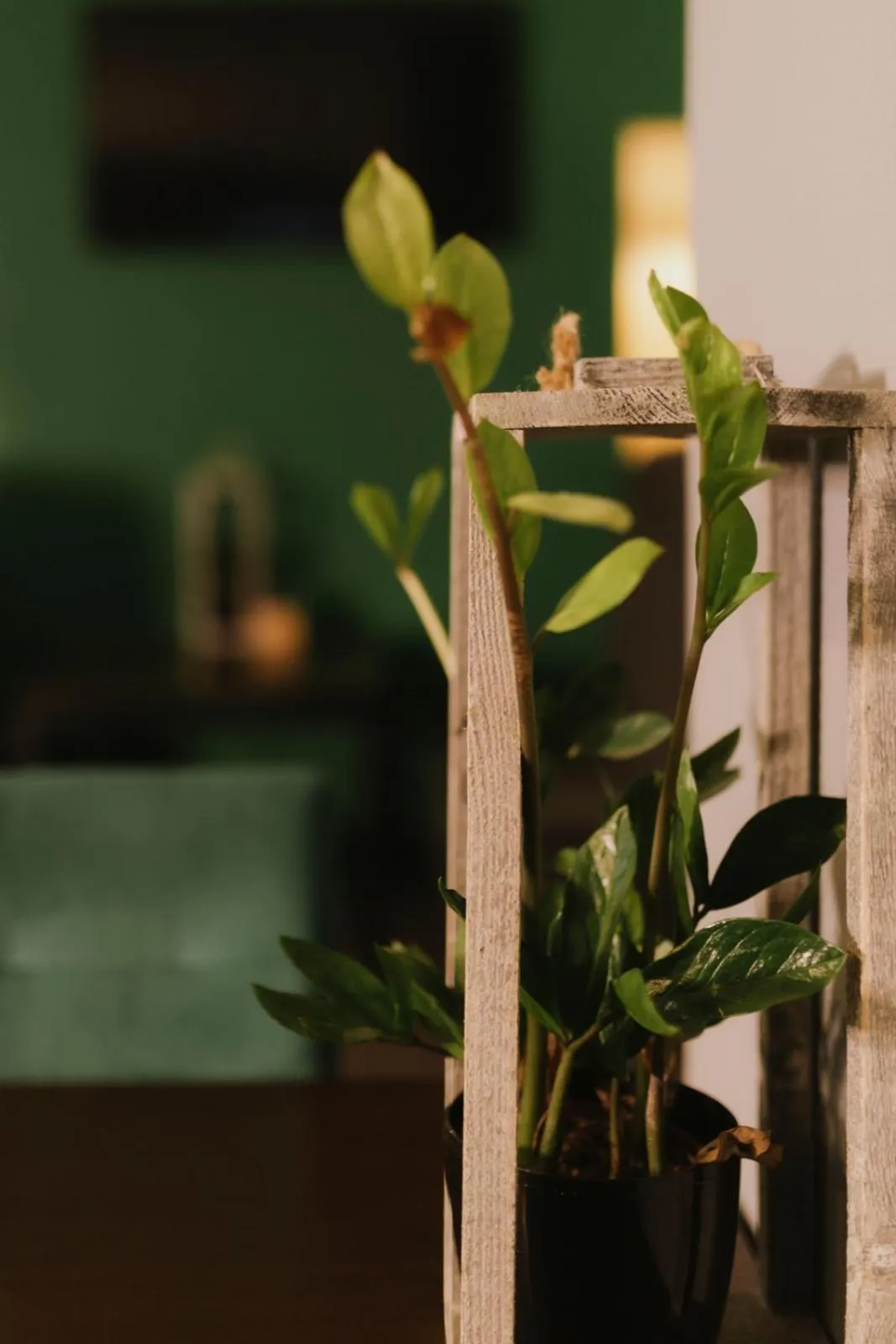 Lobby or reception in Quality Silesian Hotel