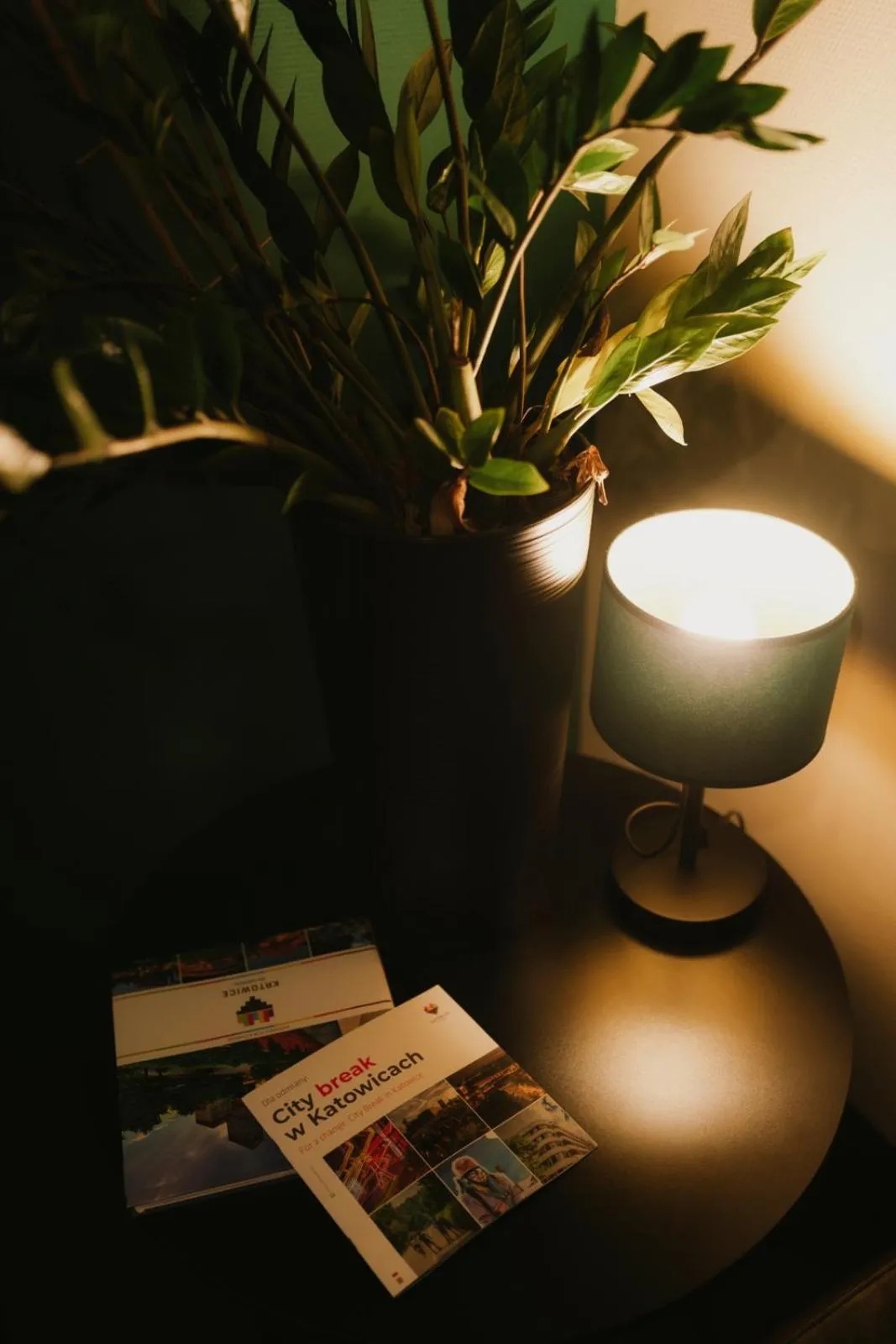 Lobby or reception in Quality Silesian Hotel