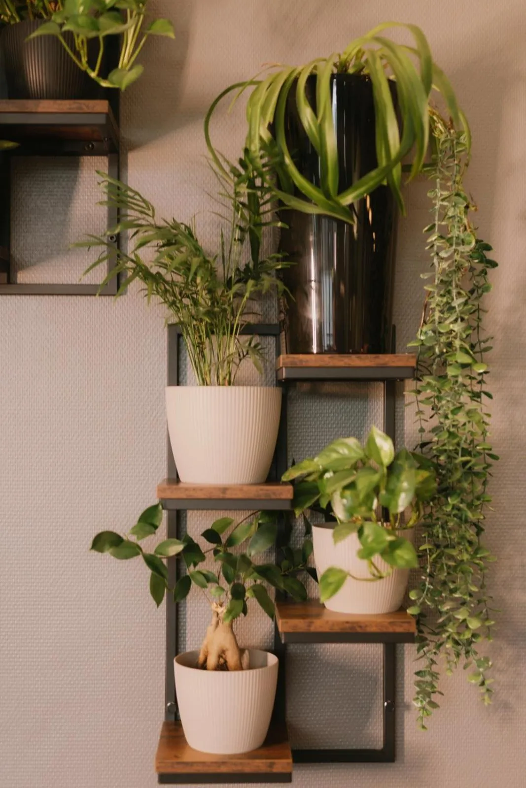 Lobby or reception in Quality Silesian Hotel