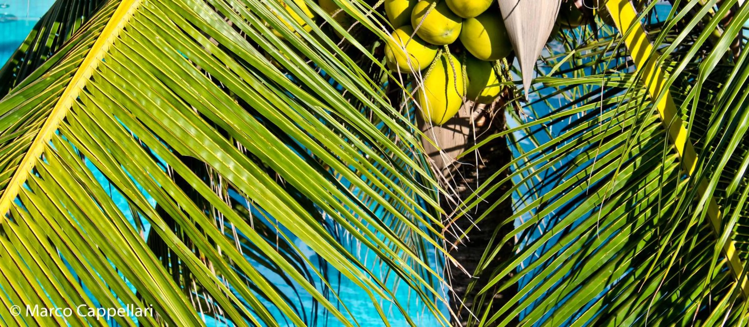 Pool view in Hotel & Pousada Tatajuba