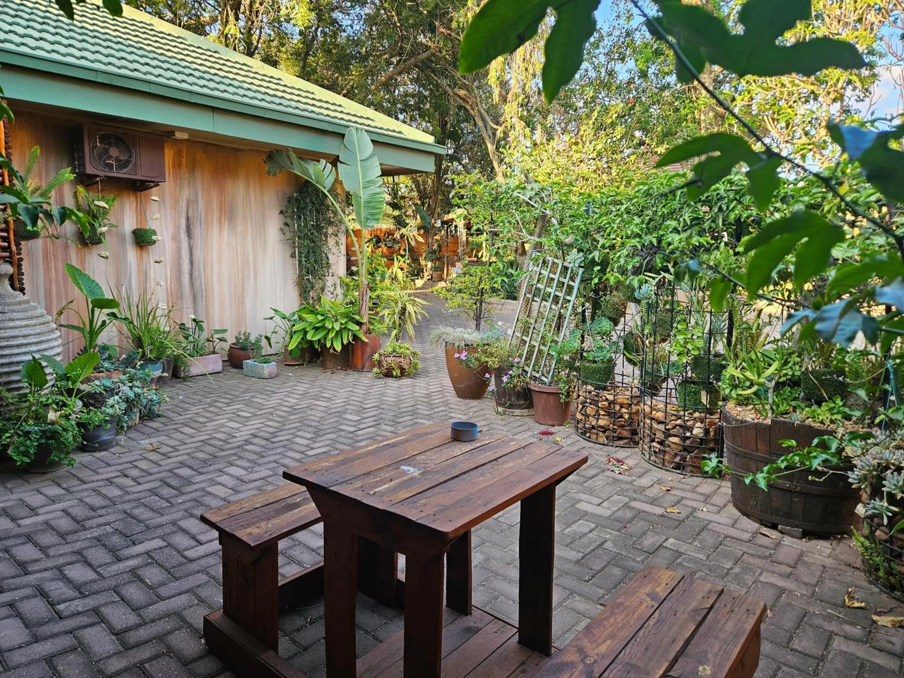 Patio in 61 On Ireland Guest House and Conferencing