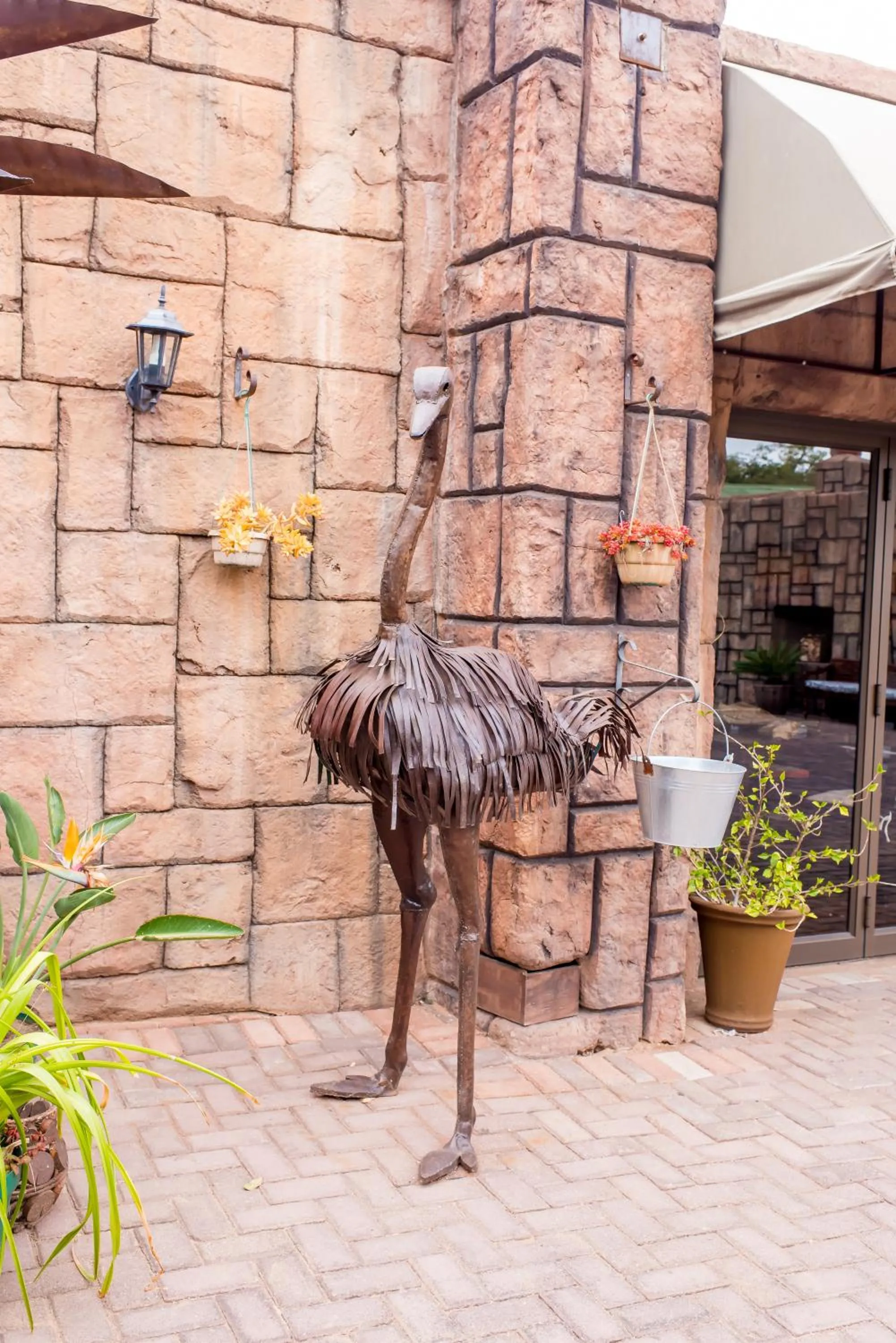 Natural landscape in 61 On Ireland Guest House and Conferencing