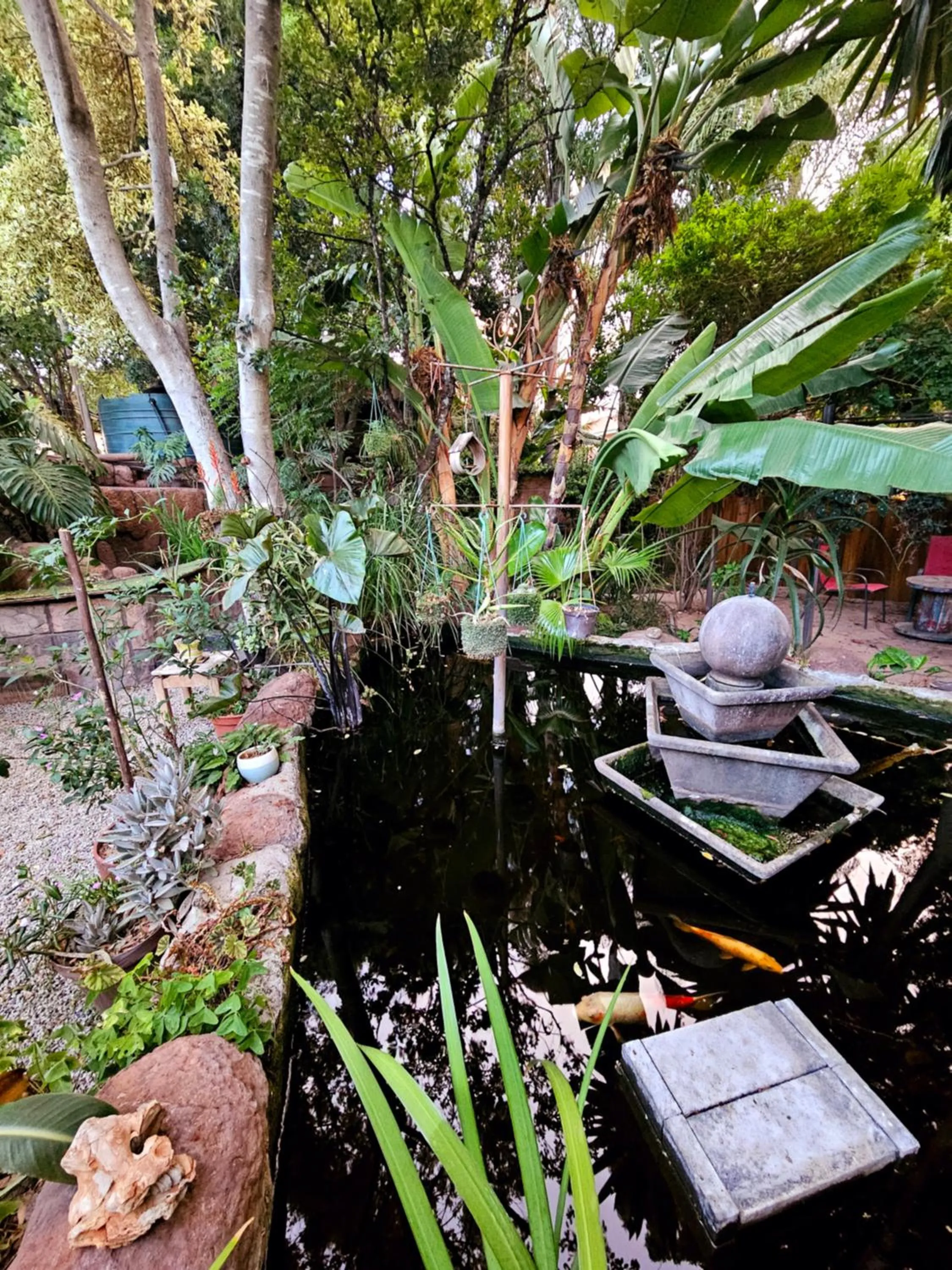 Garden in 61 On Ireland Guest House and Conferencing