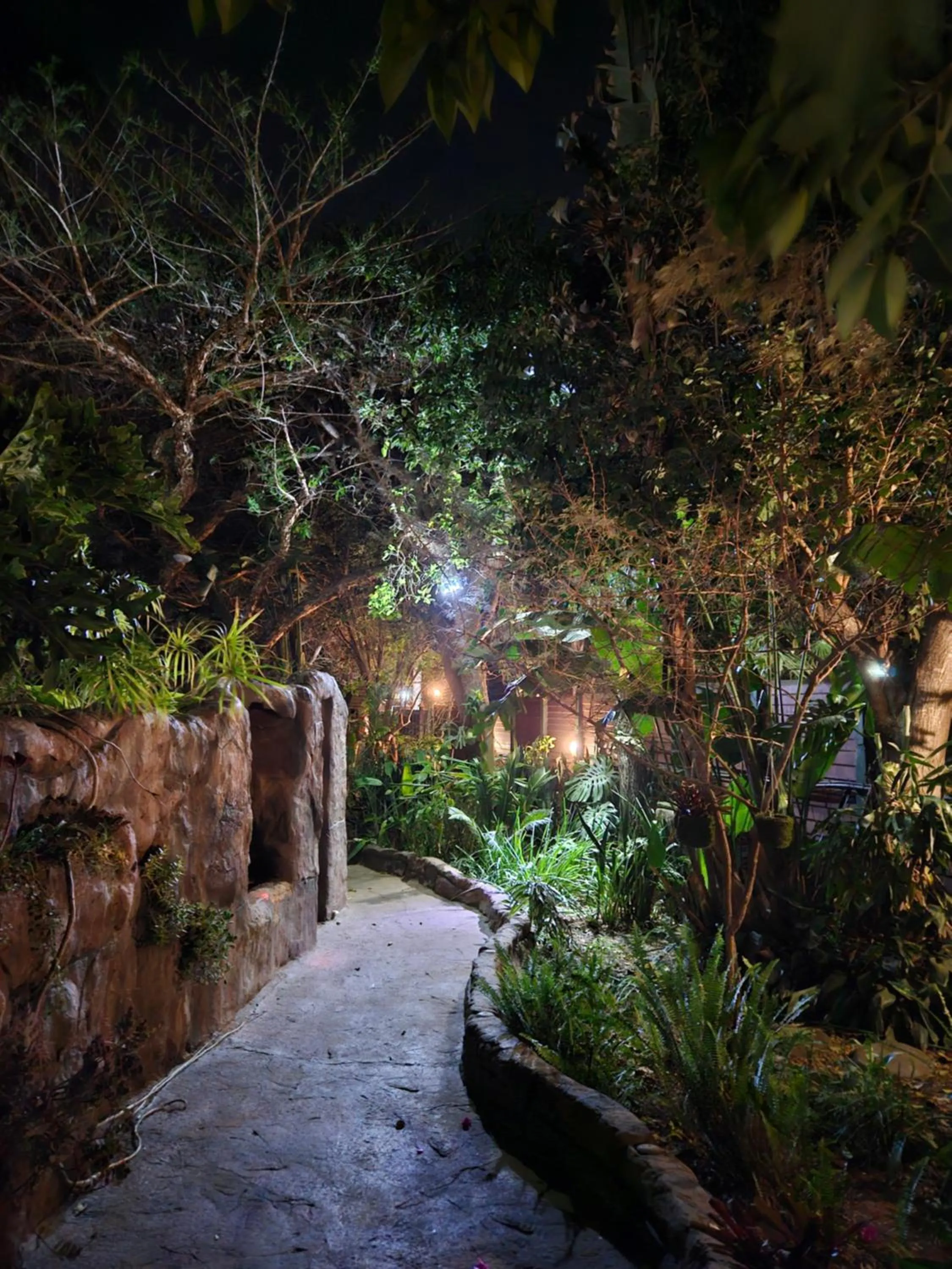 Garden in 61 On Ireland Guest House and Conferencing