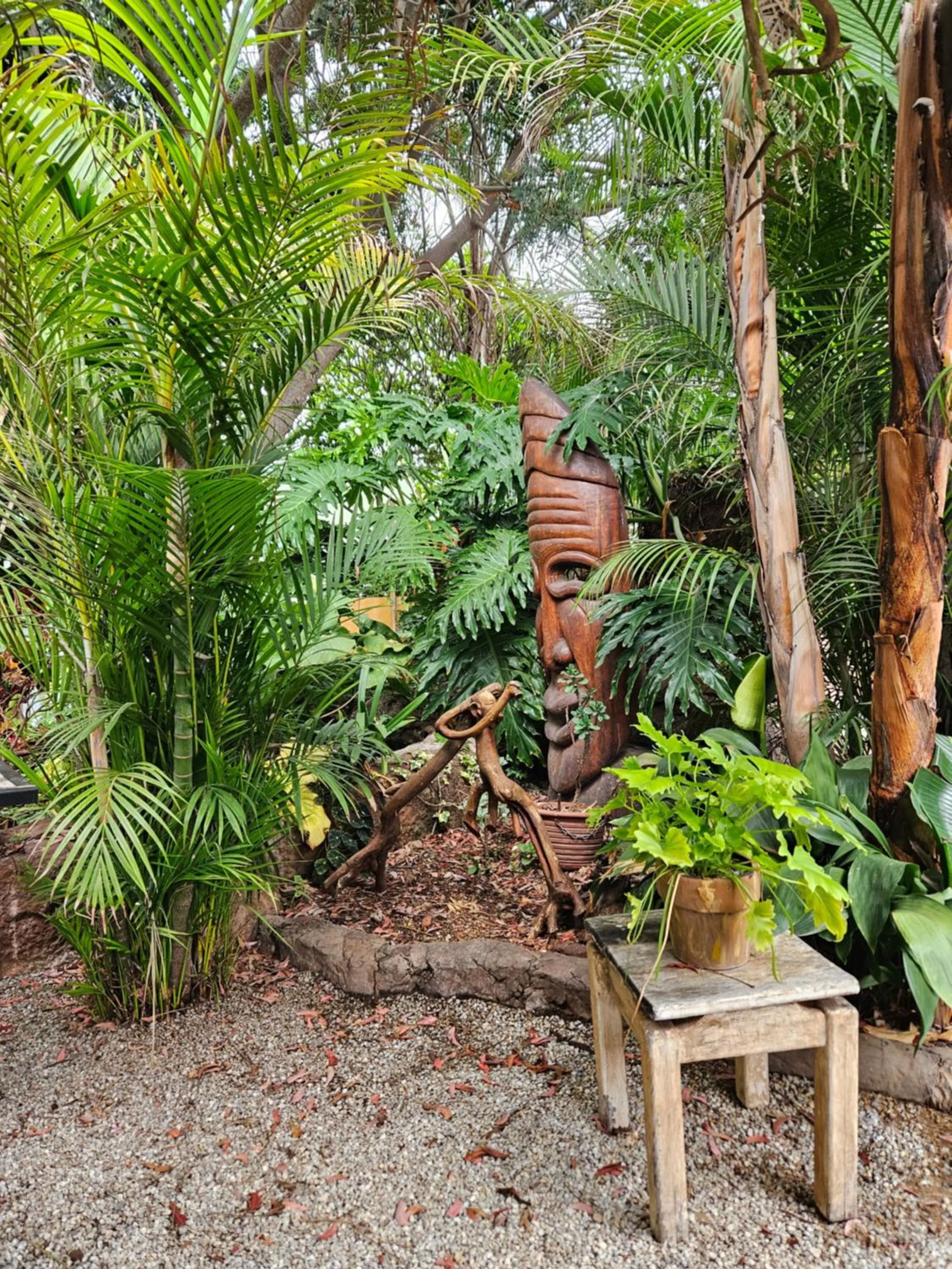 Garden view in 61 On Ireland Guest House and Conferencing