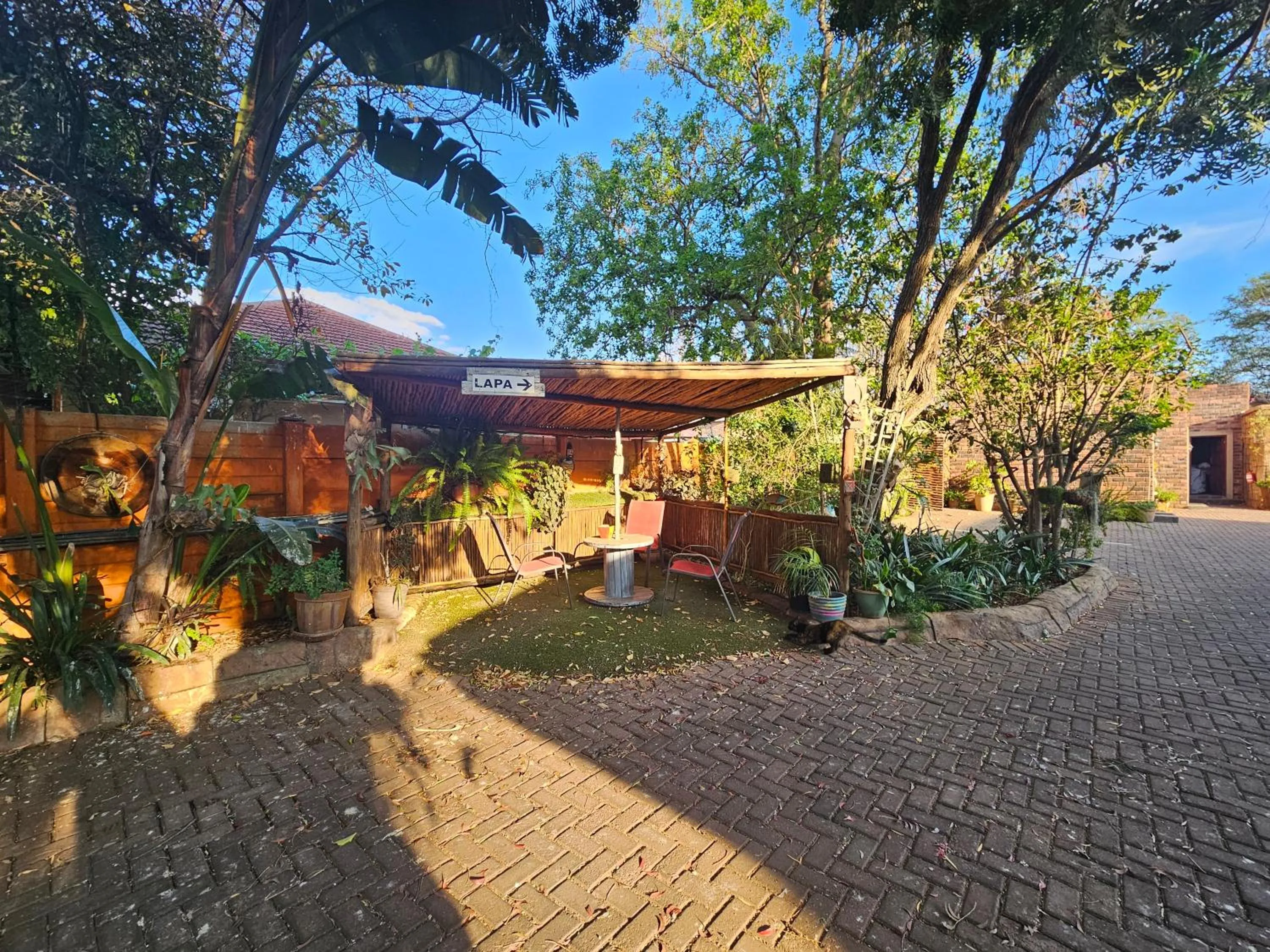 Garden view in 61 On Ireland Guest House and Conferencing