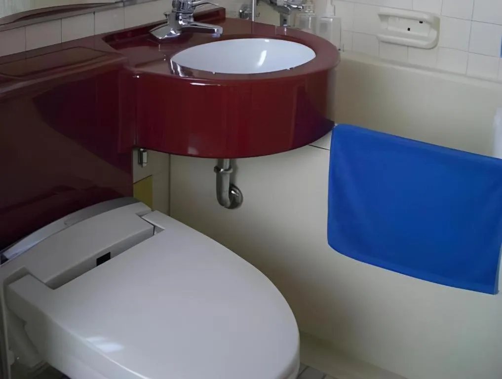 Matsuyama City Hotel