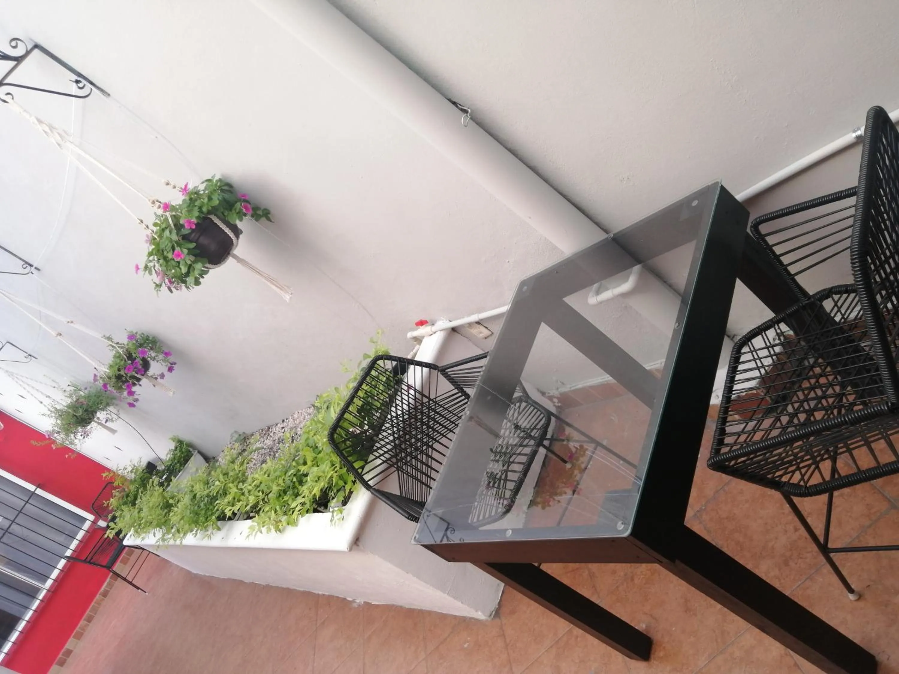 Guest house La Casa del Quetzal