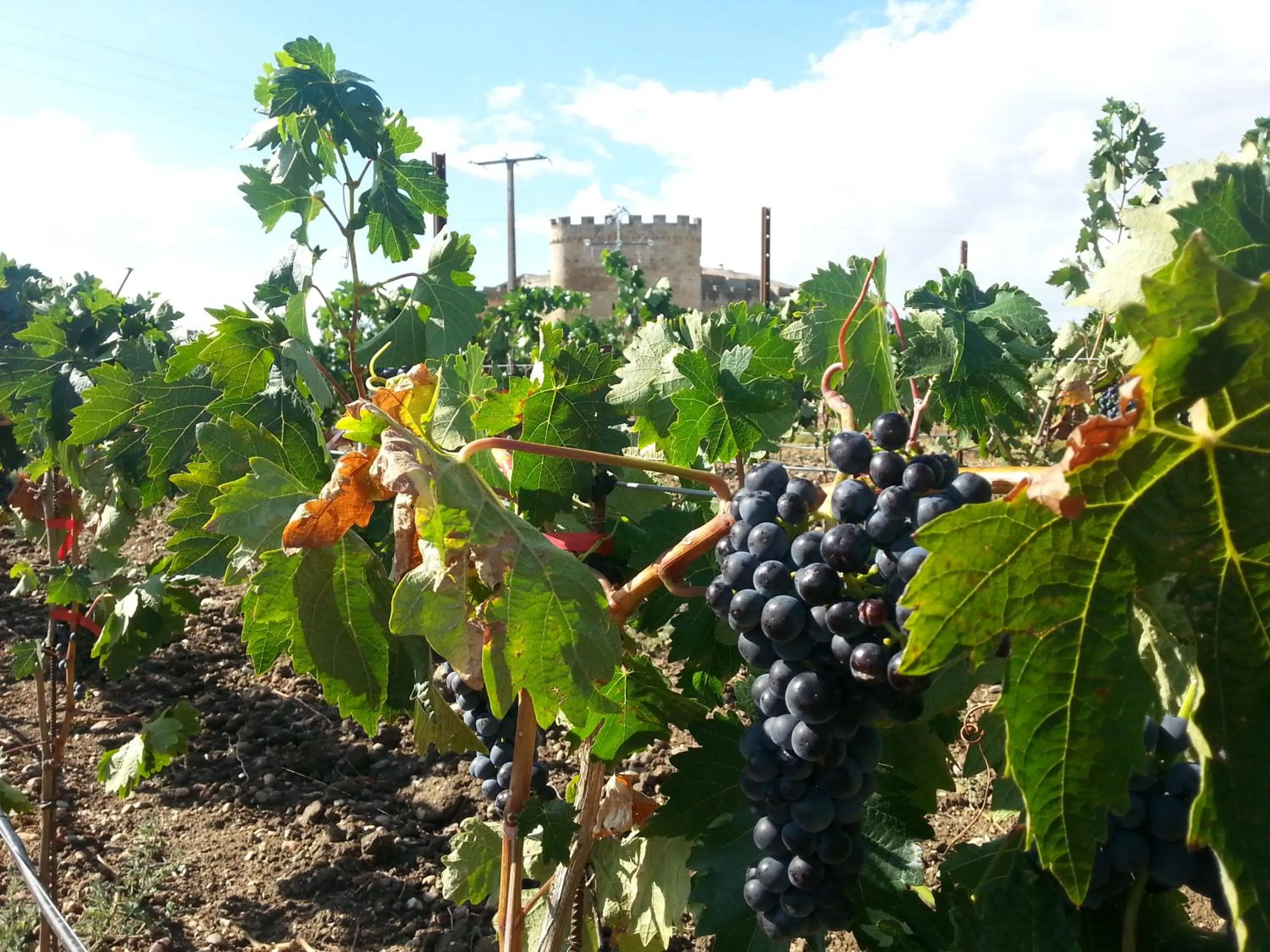 Off site in Posada Real Castillo del Buen Amor