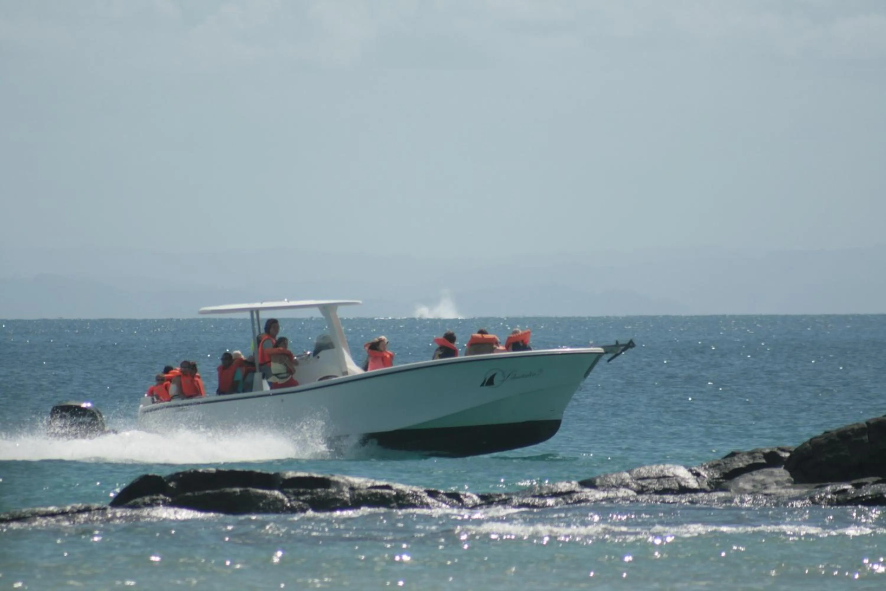 Day in Libertalia Hotel