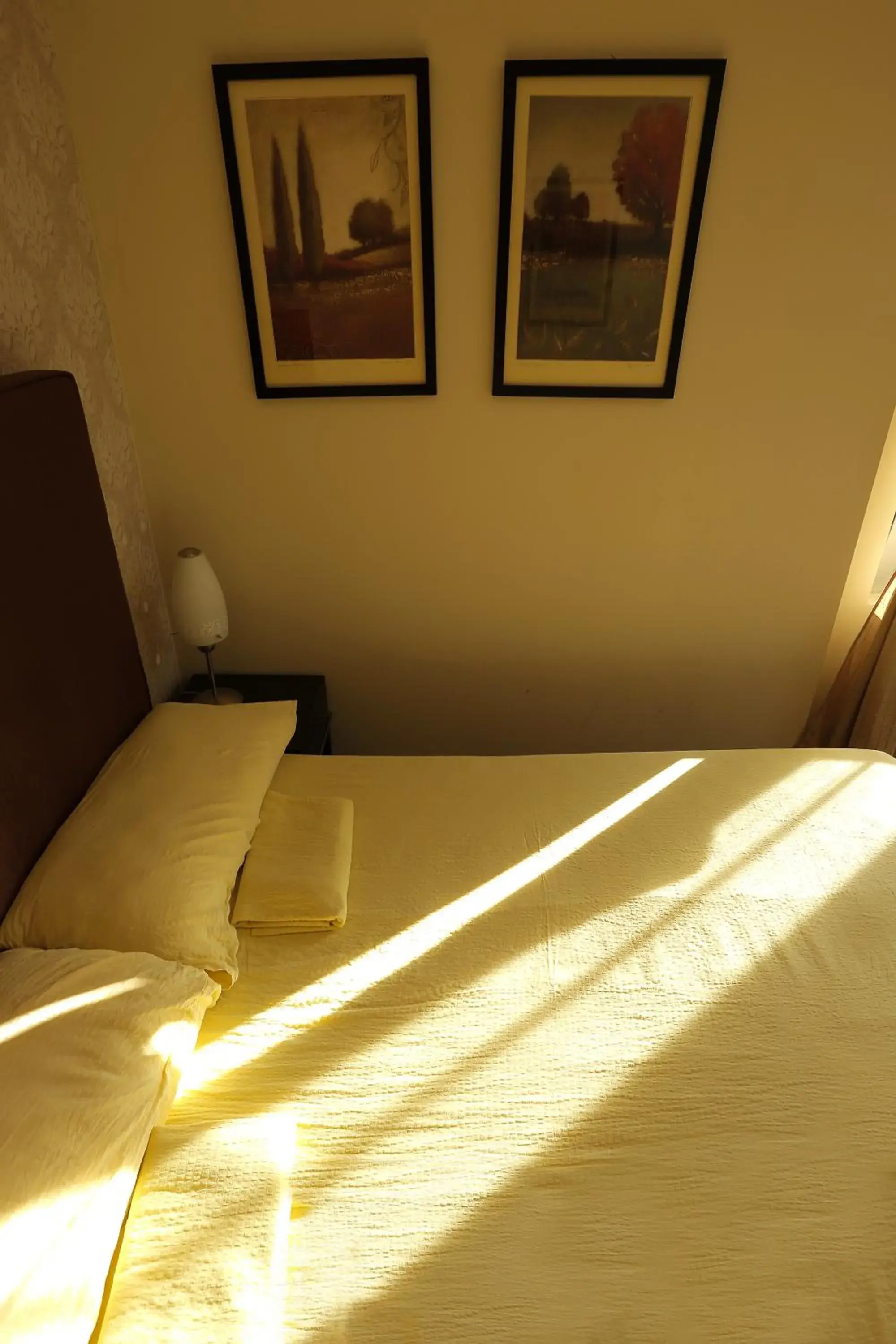 Single Room in Bed & Breakfast Garden40 Single Room in Bed & Breakfast Garden40