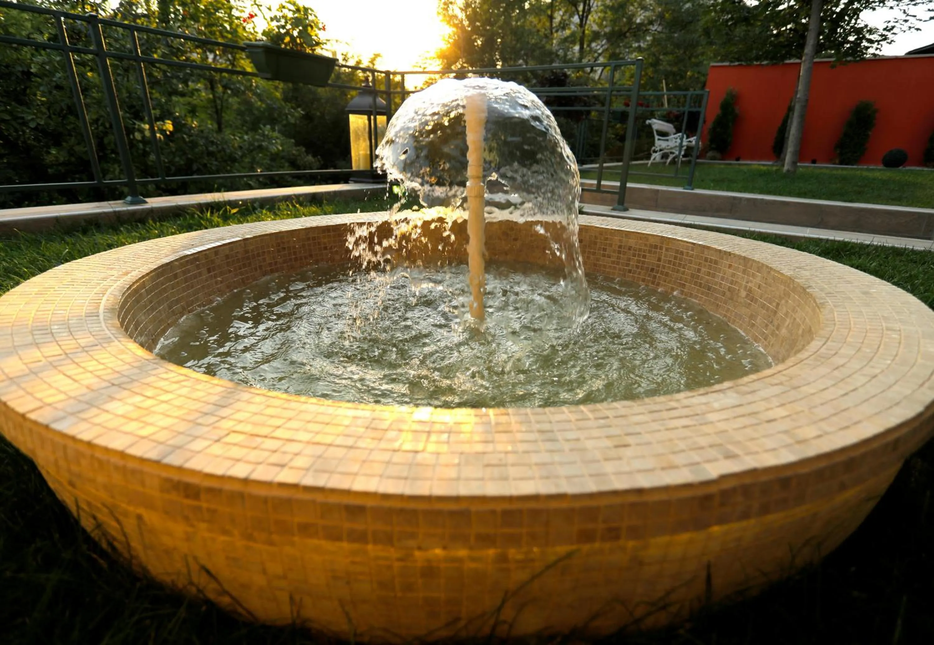 Garden in Bed & Breakfast Garden40