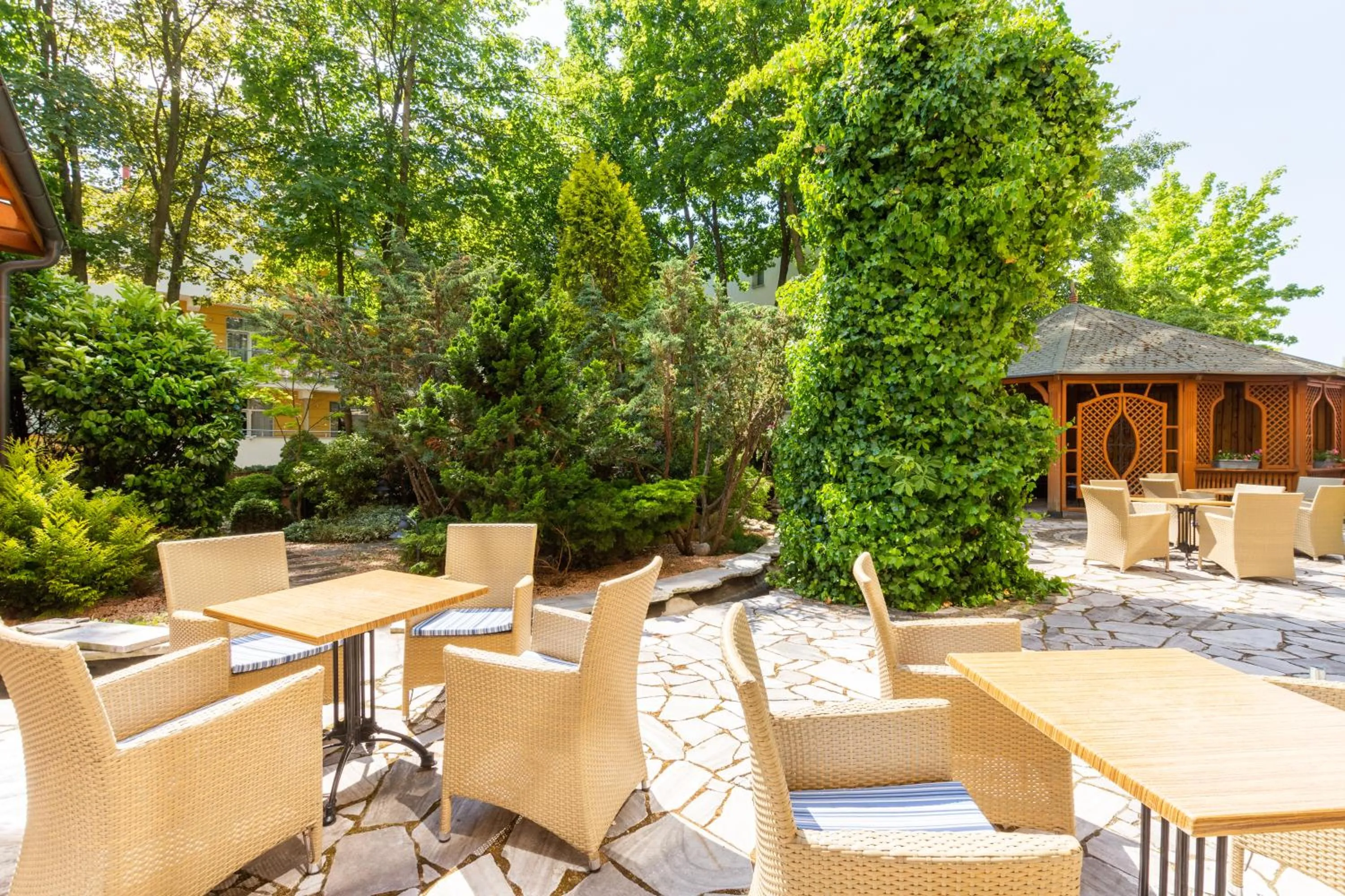 Summer in Centrum Zdrowia i Wypoczynku Ikar