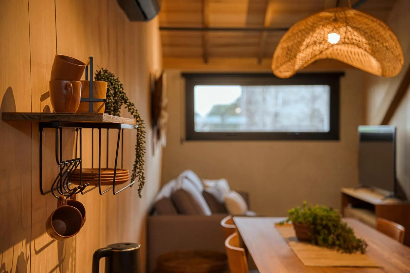 Photo of the whole room in Mater Hotel