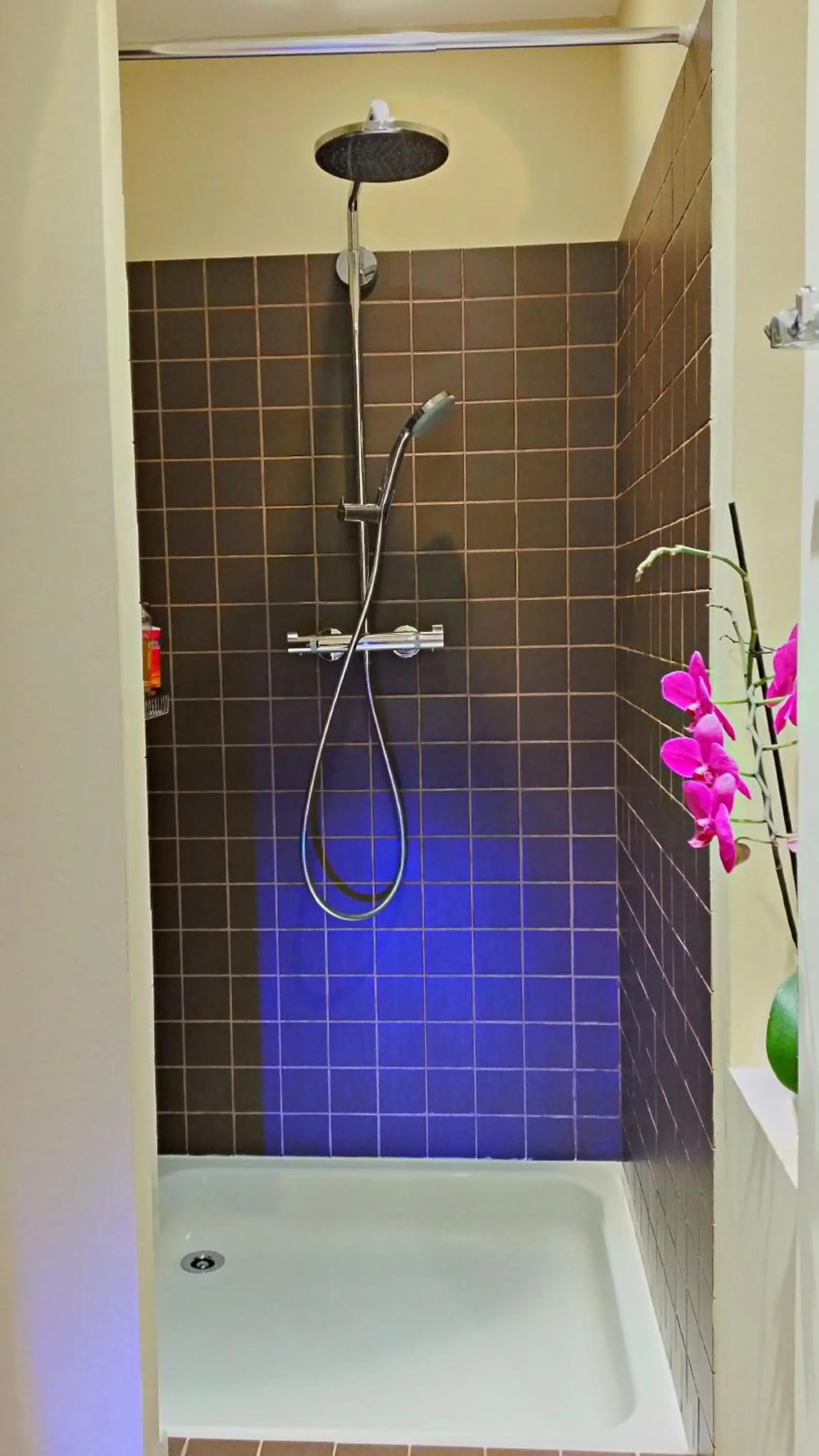 Decorative detail in La Chouette Maison - Chambres d'hôtes et Gîte en Ville