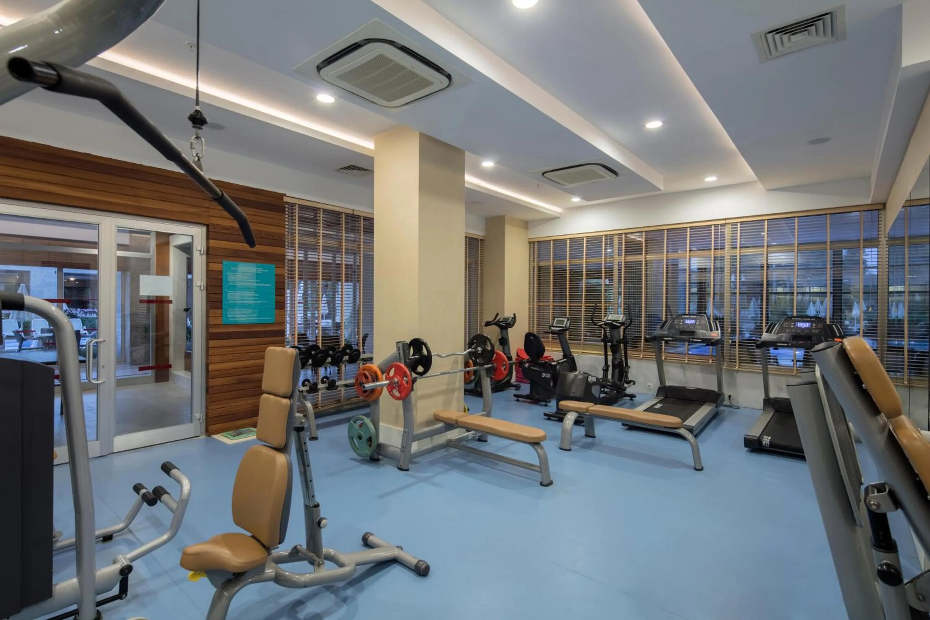 Activities in Trendy Verbena Beach