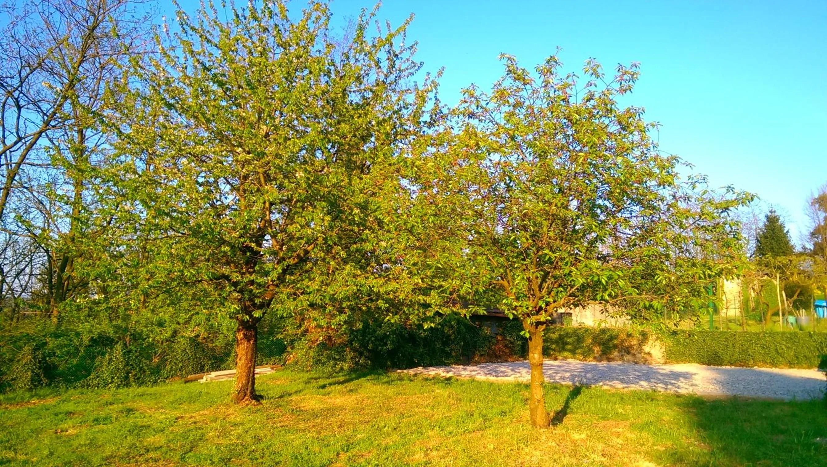 B&B Vinago Belvedere