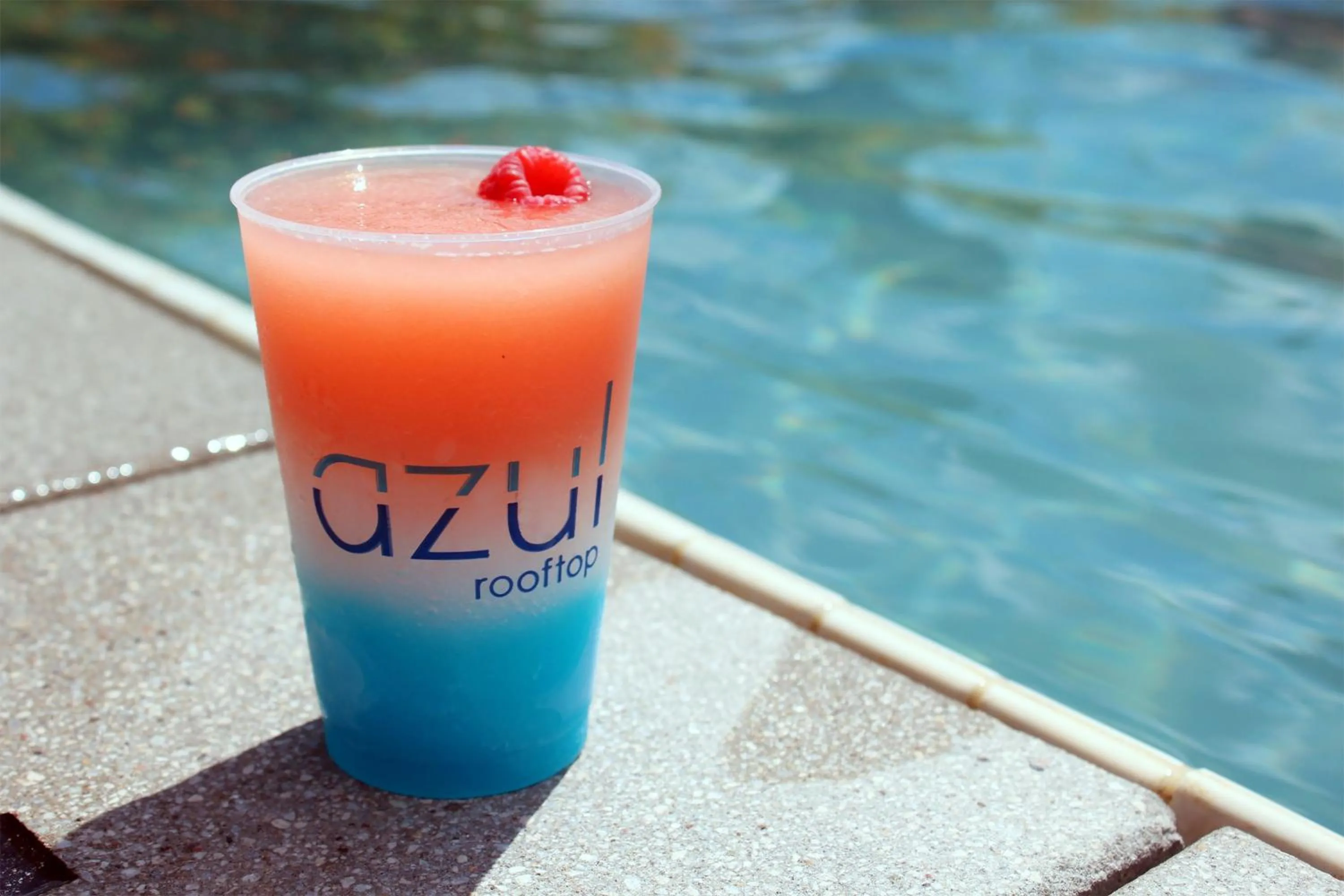 Lounge or bar in The Westin Austin Downtown