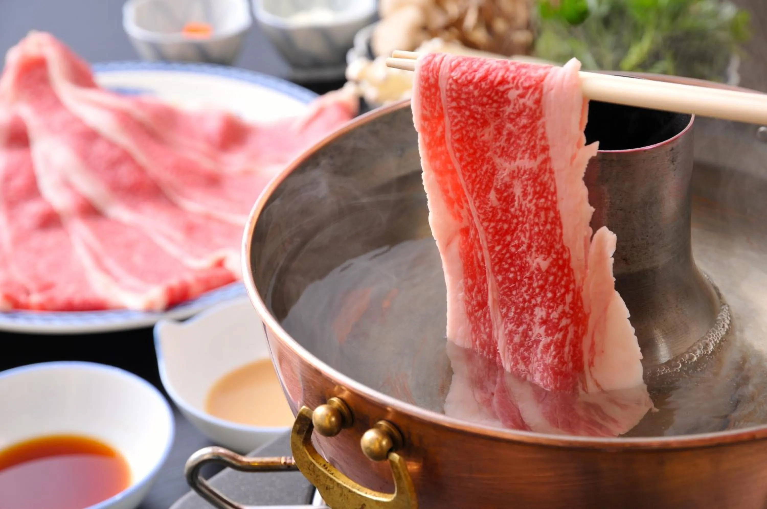 Food in Maruyama Onsen Kojyokan
