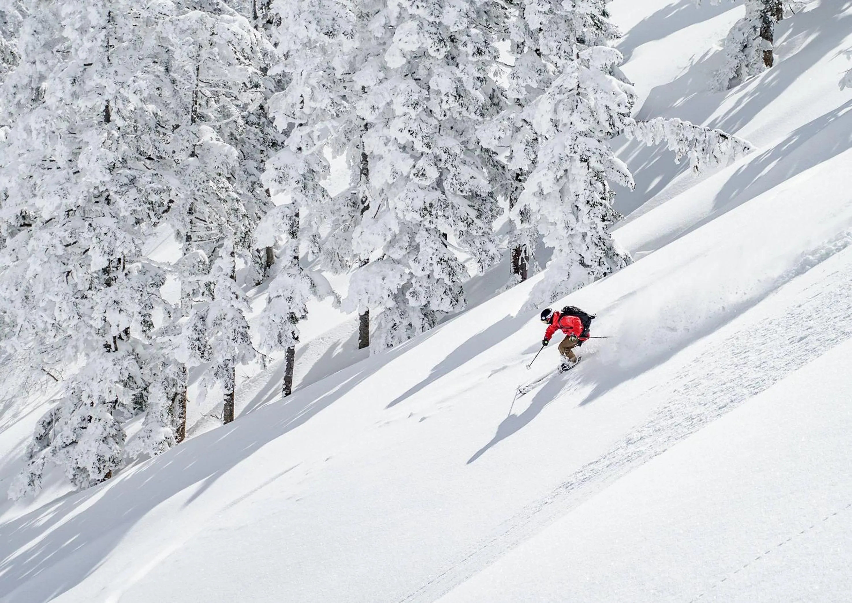 Winter in Maruyama Onsen Kojyokan