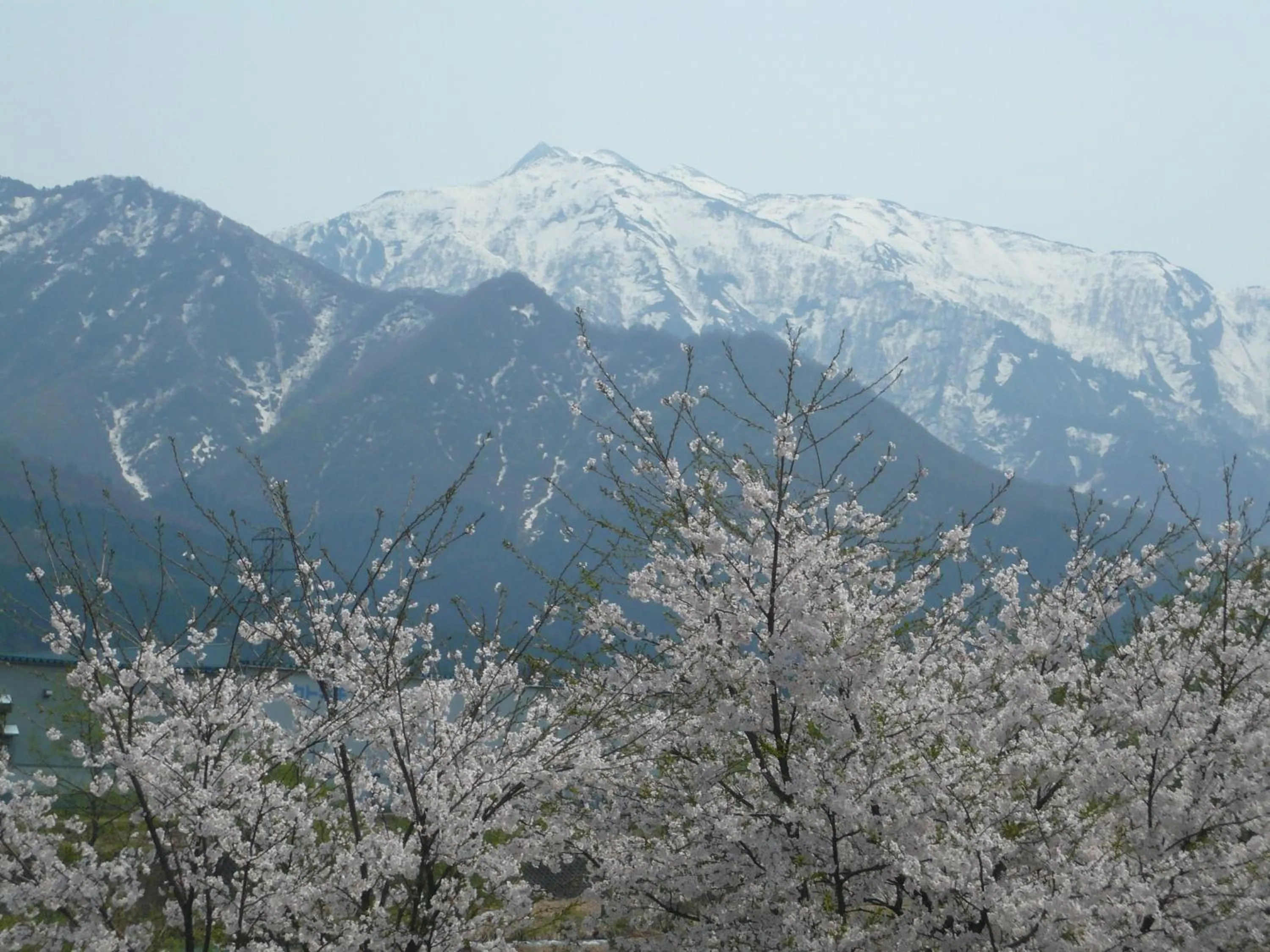 Spring in Maruyama Onsen Kojyokan
