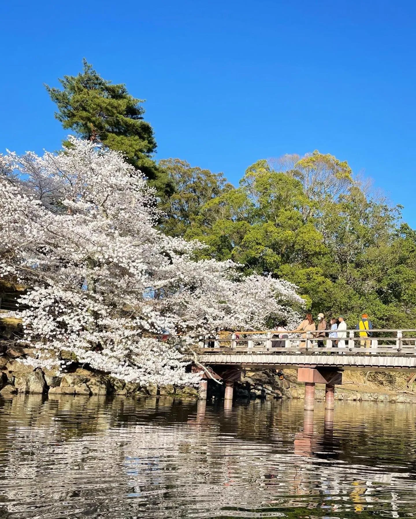 Nearby landmark in Nara Guesthouse 3F