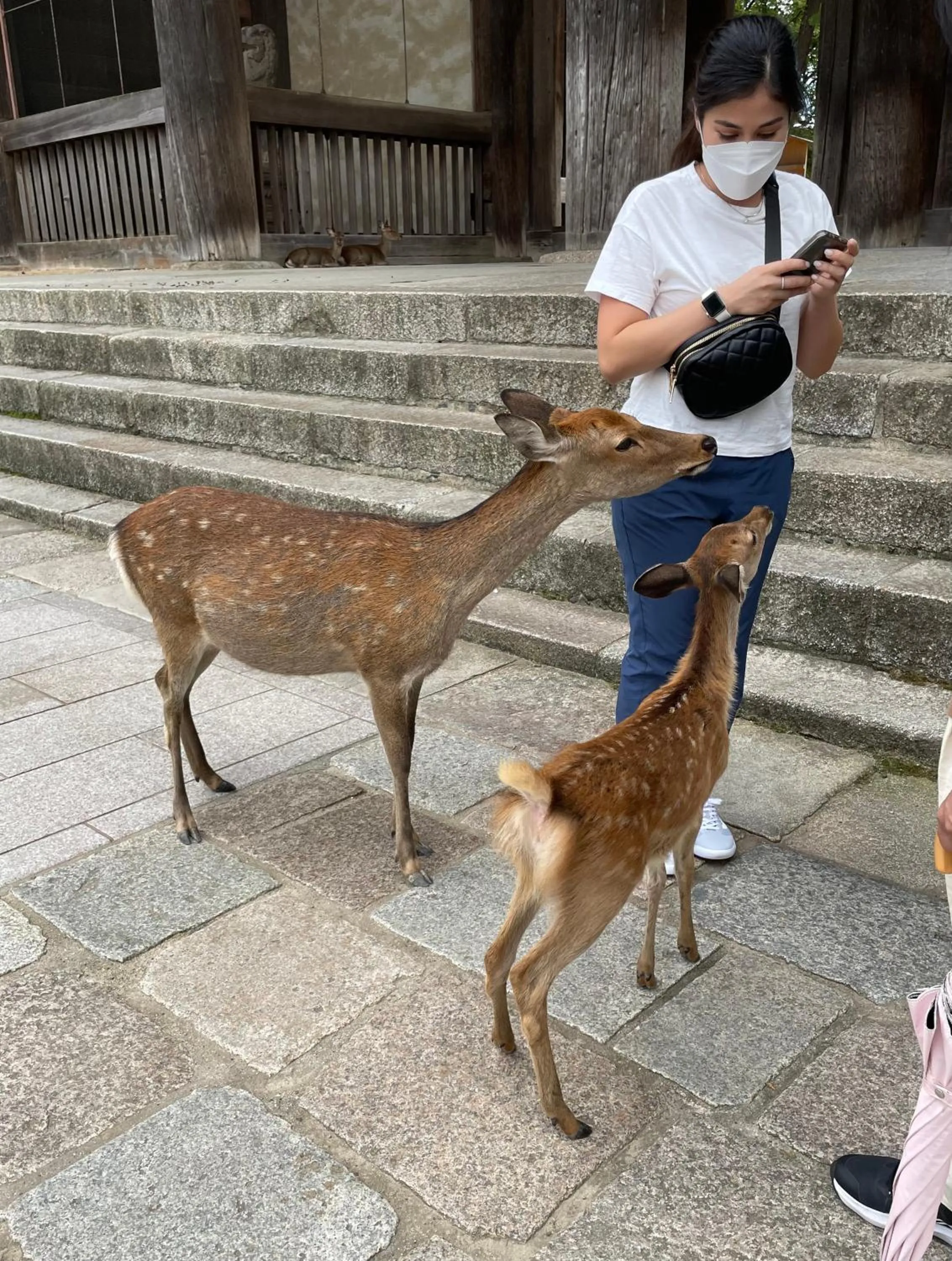 Nearby landmark in Nara Guesthouse 3F