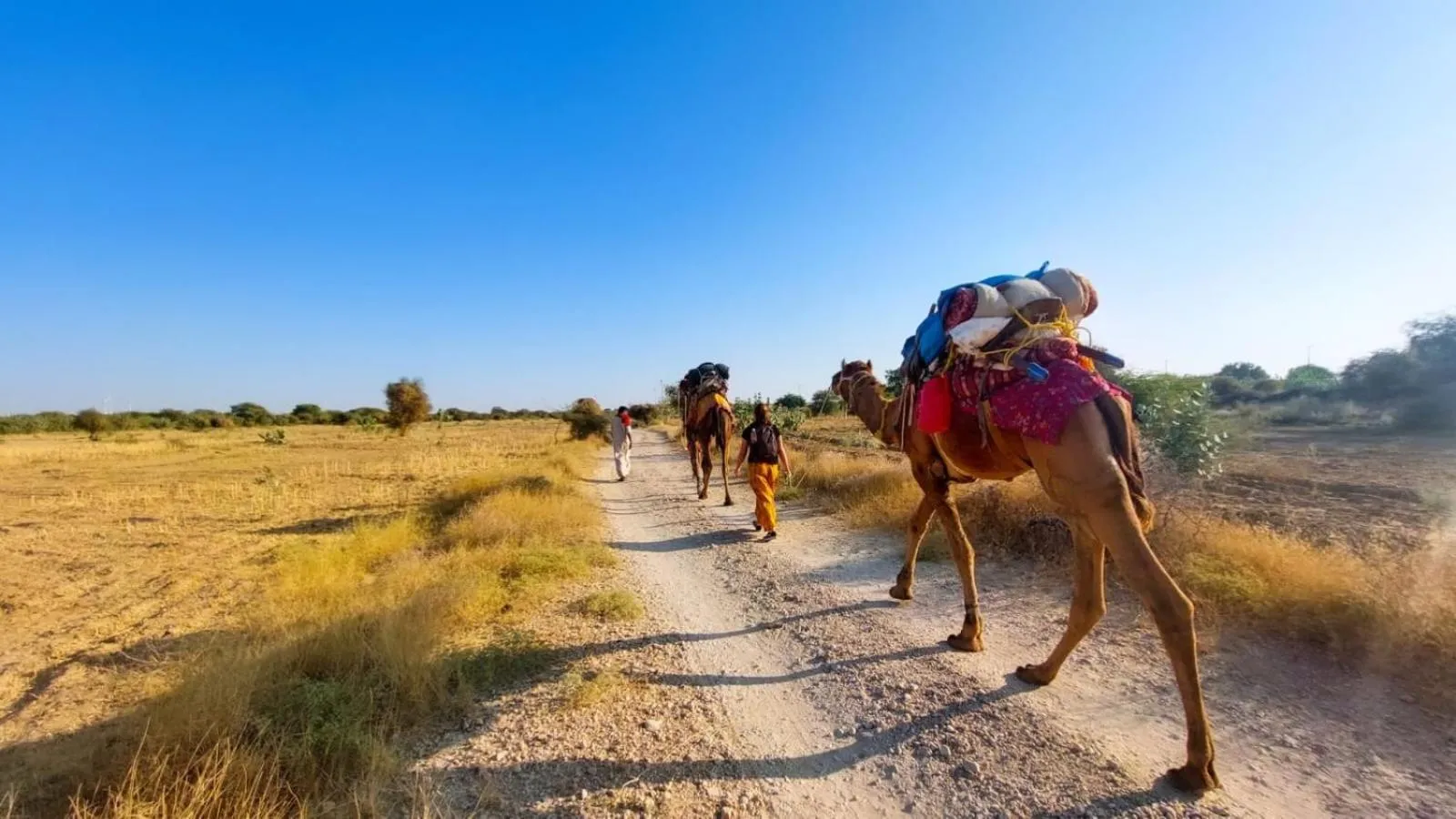 Natural landscape in sand castle resort