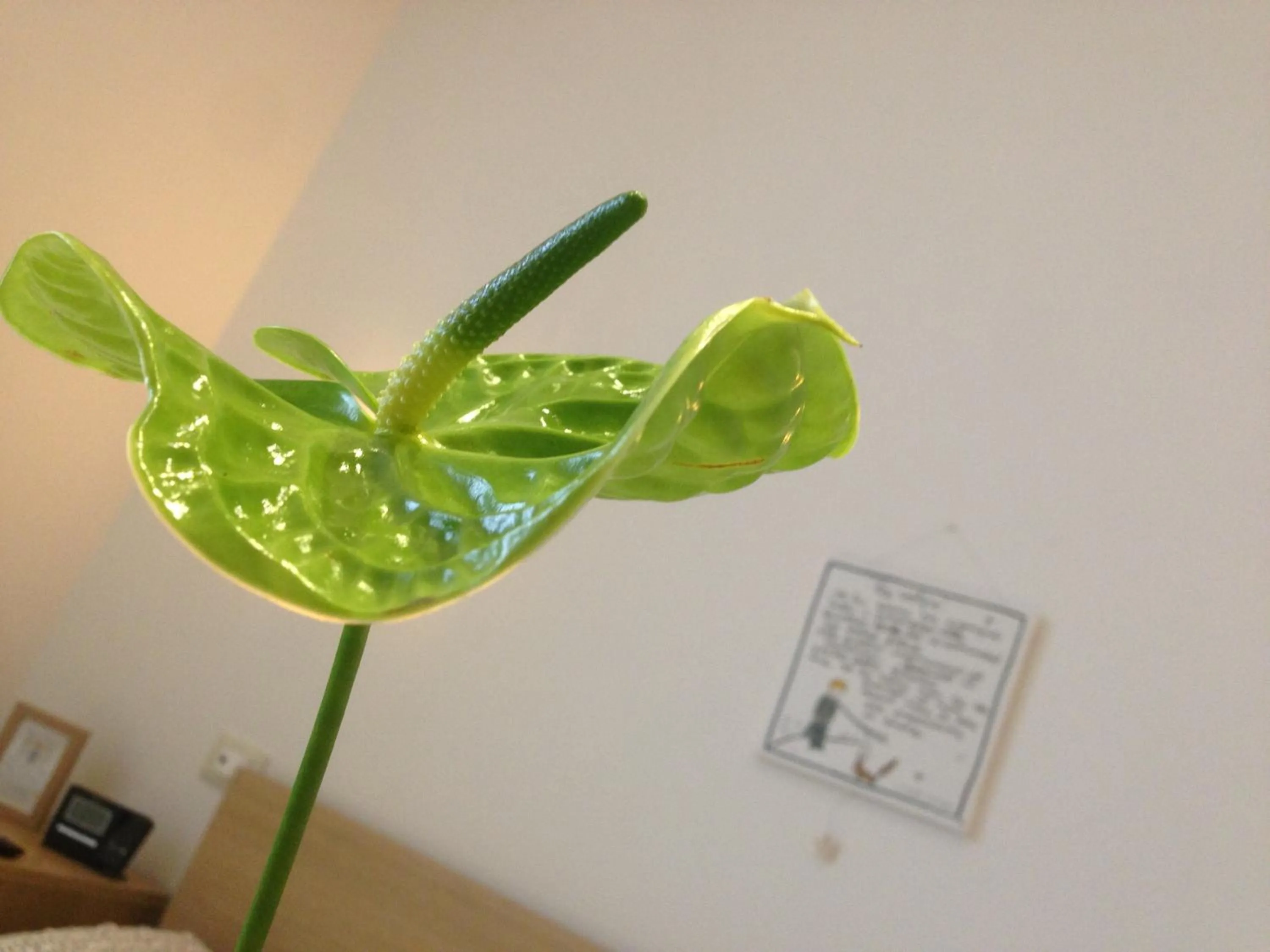 Decorative detail in B&B Il Piccolo Principe room and breakfast