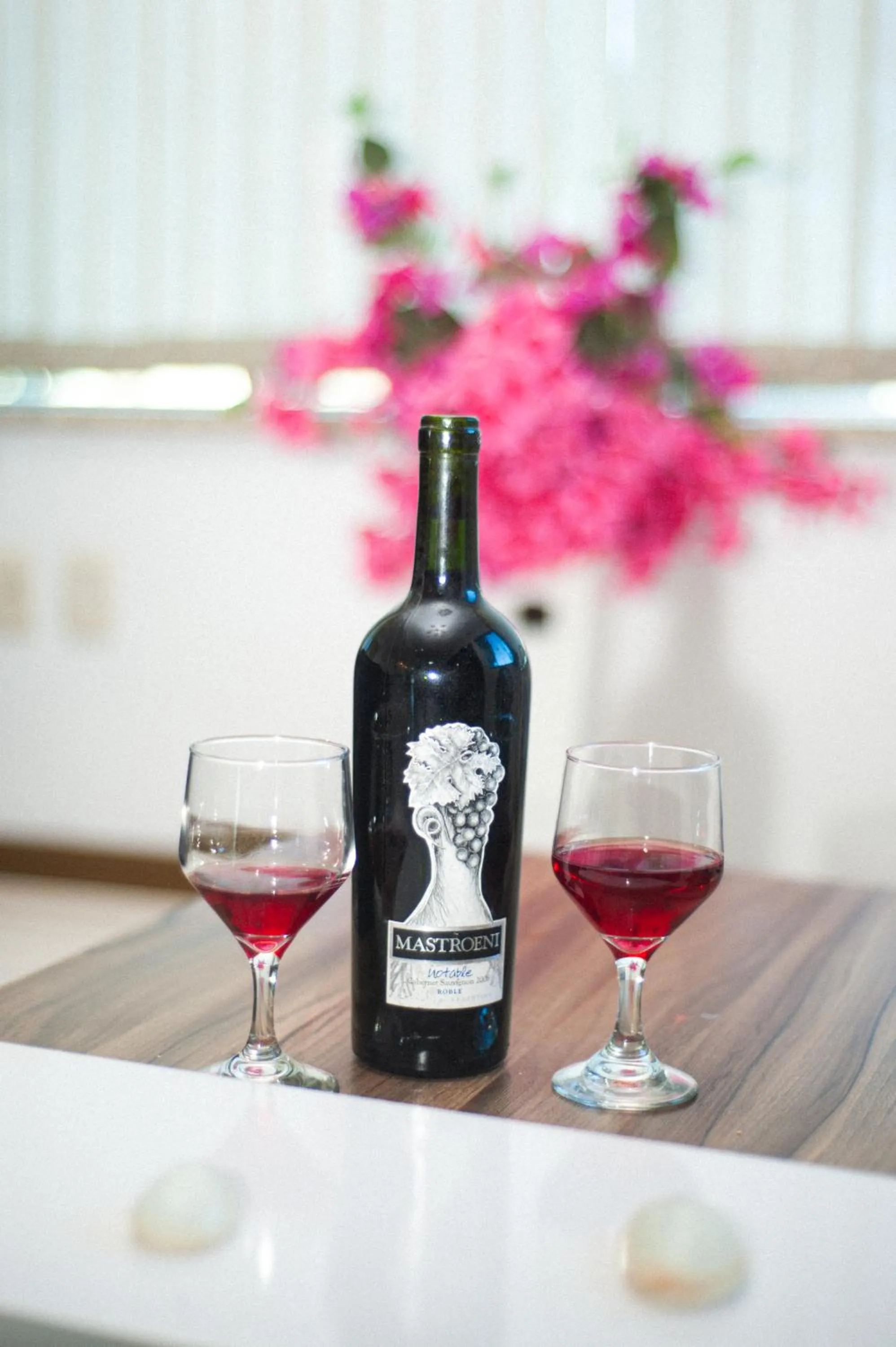 Hotel Caçula Do Pampa