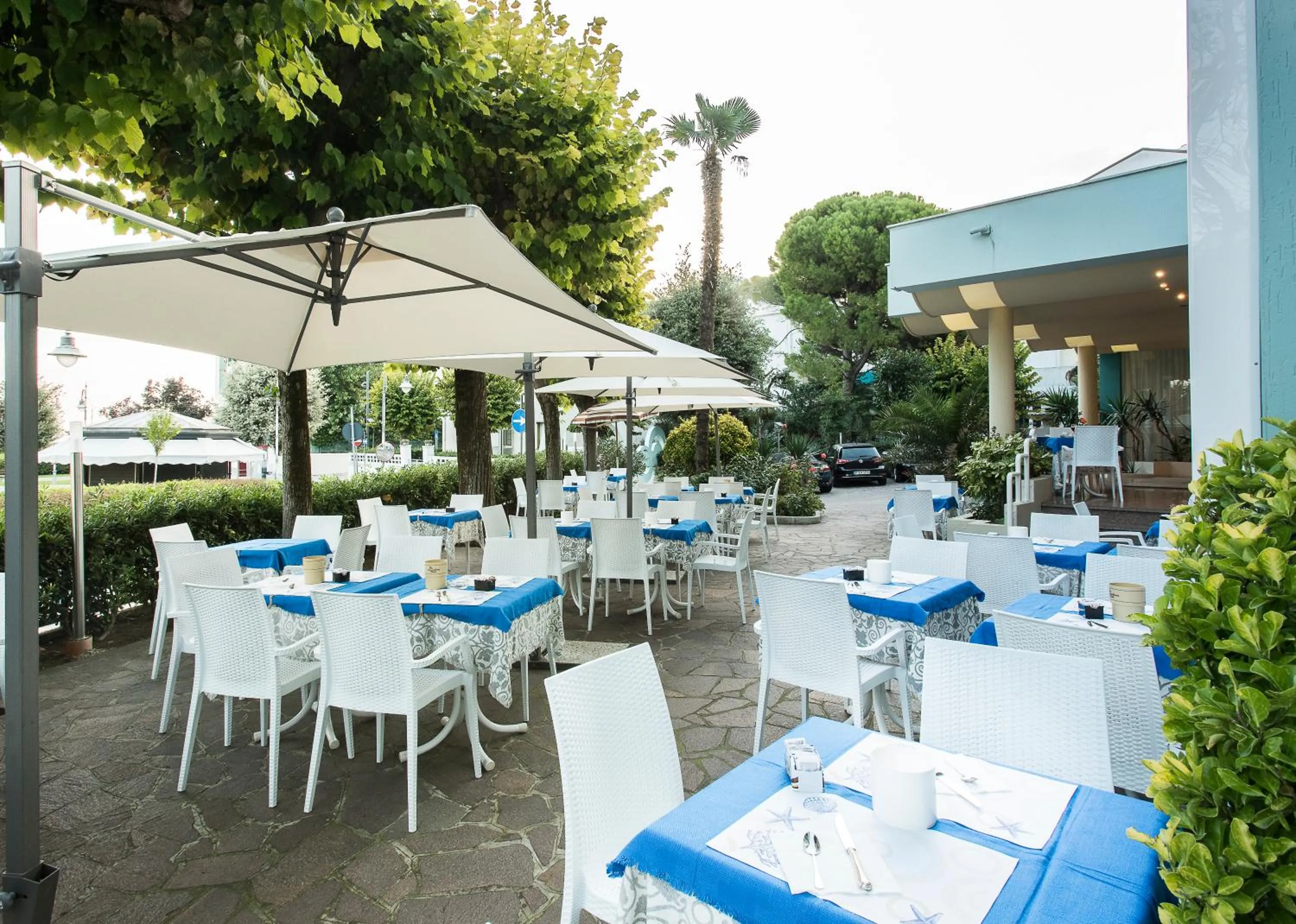 Garden in Hotel Losanna