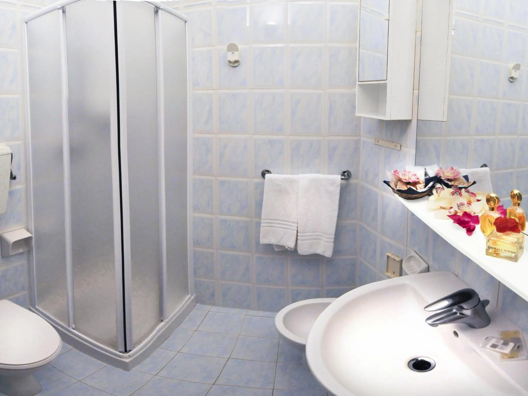 Shower in Hotel Losanna