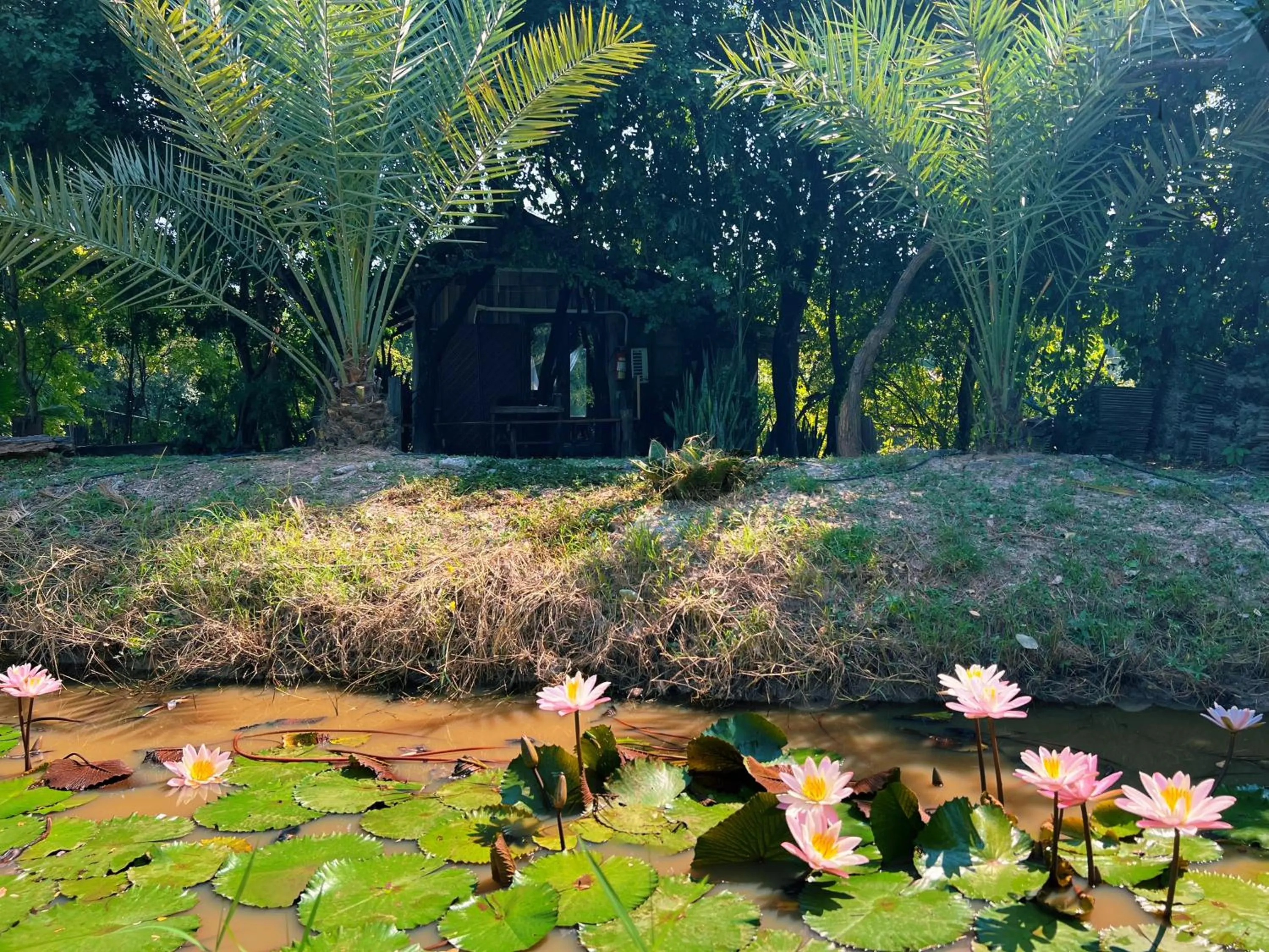 Sukhothai City Resort