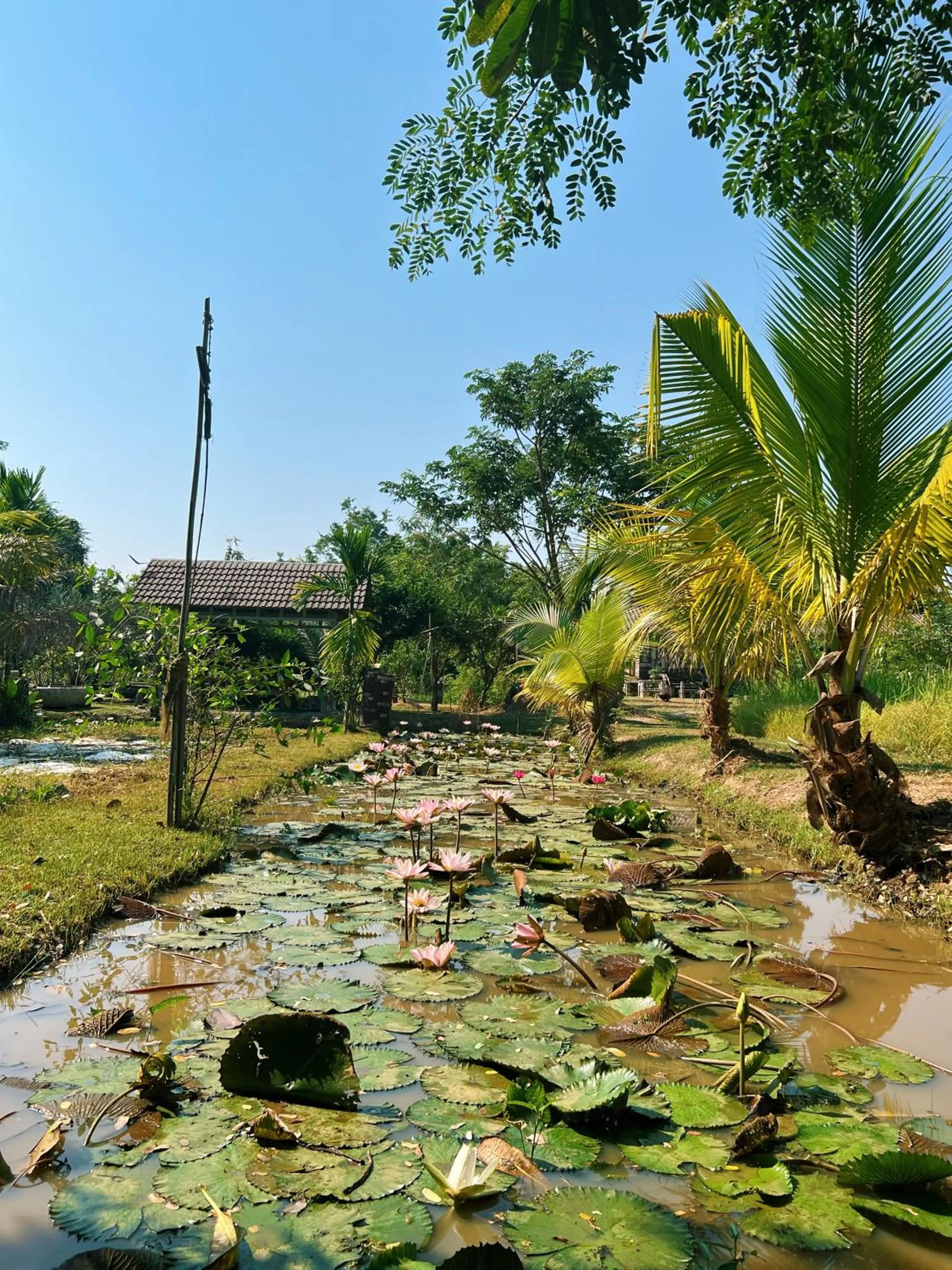 Sukhothai City Resort
