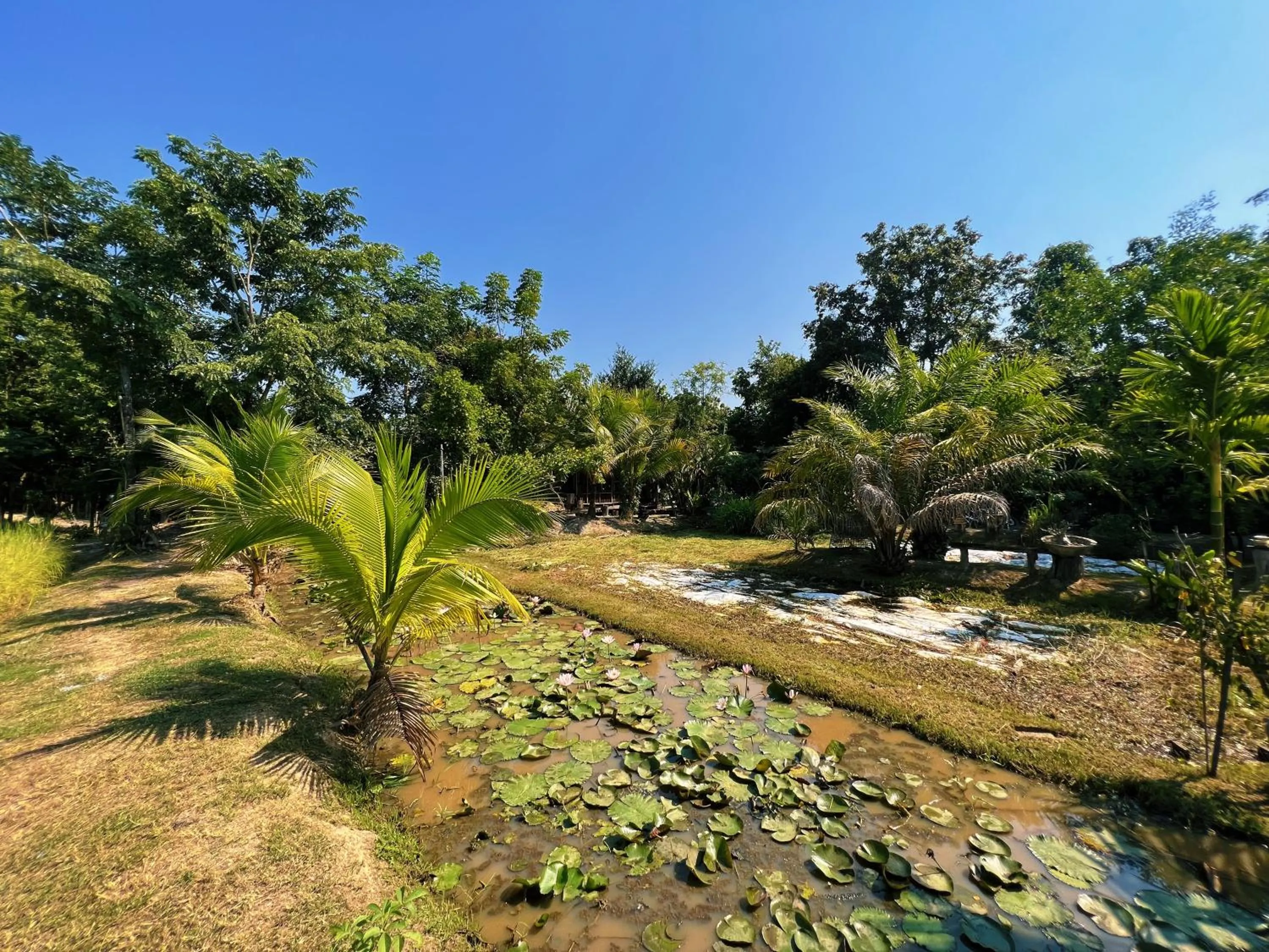 Sukhothai City Resort