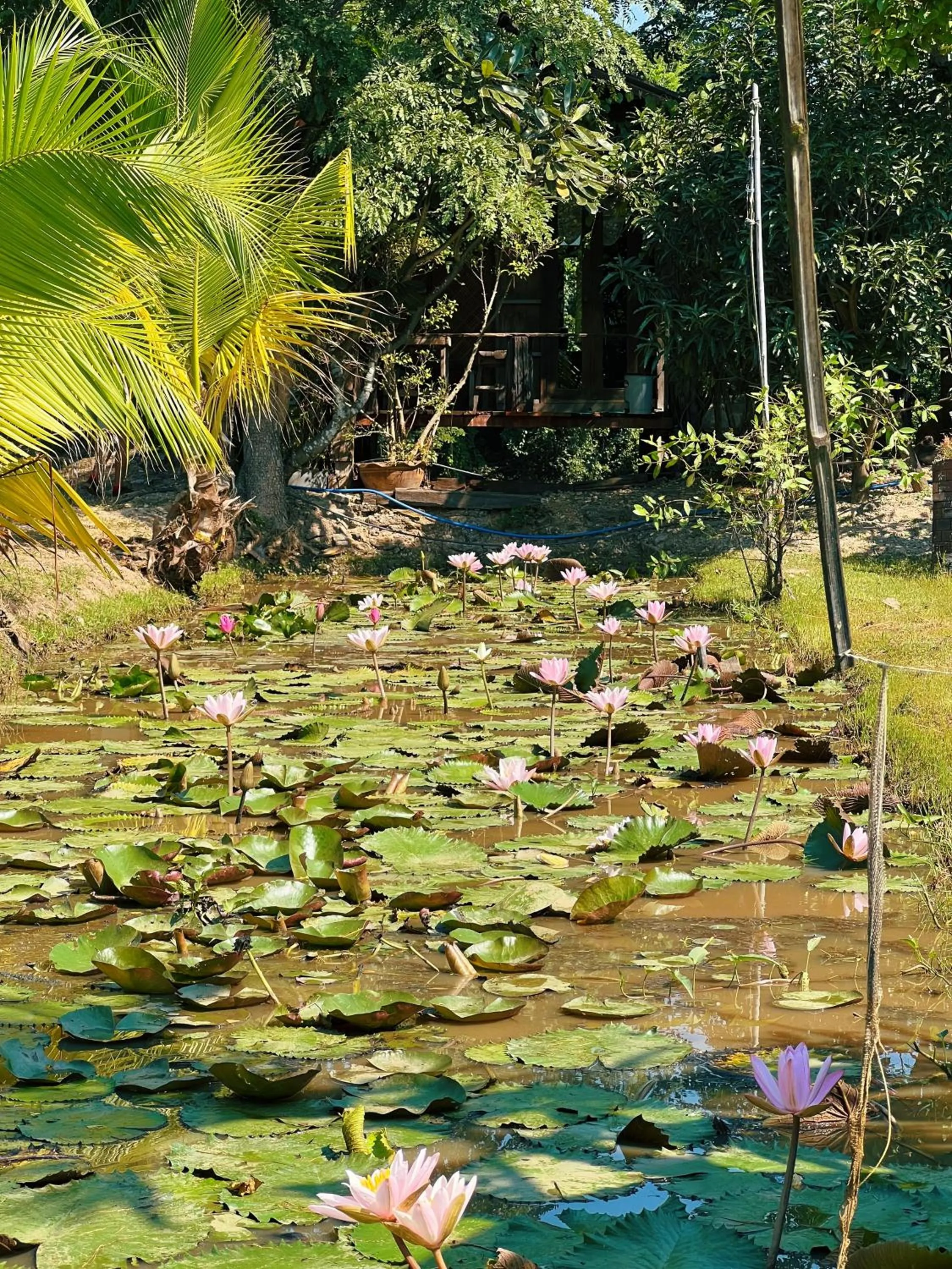 Sukhothai City Resort