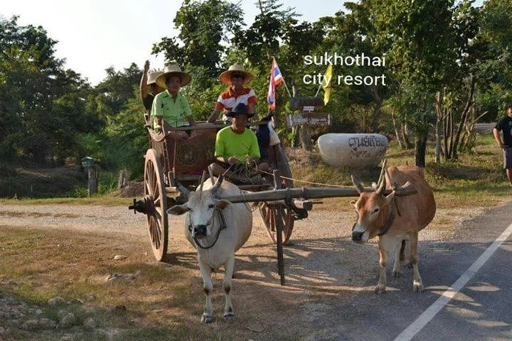 Activities in Sukhothai City Resort