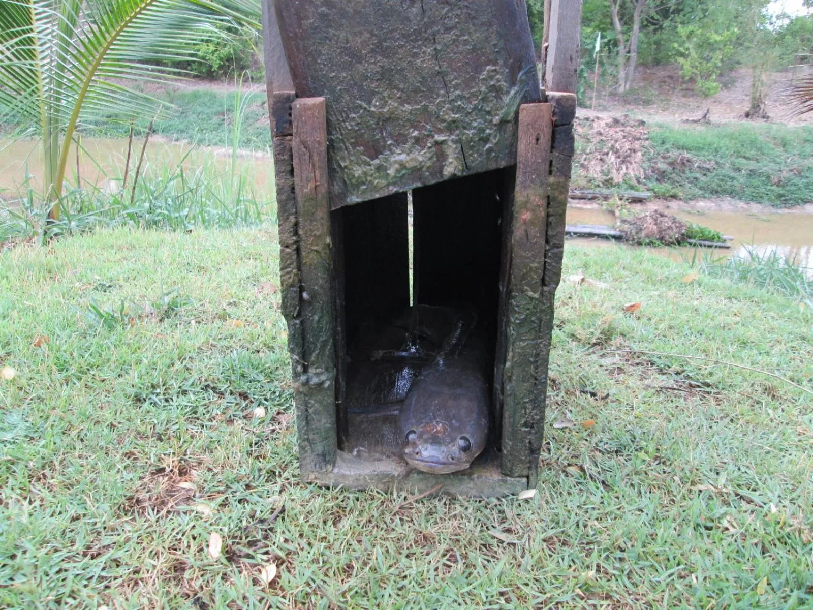 Fishing in Sukhothai City Resort