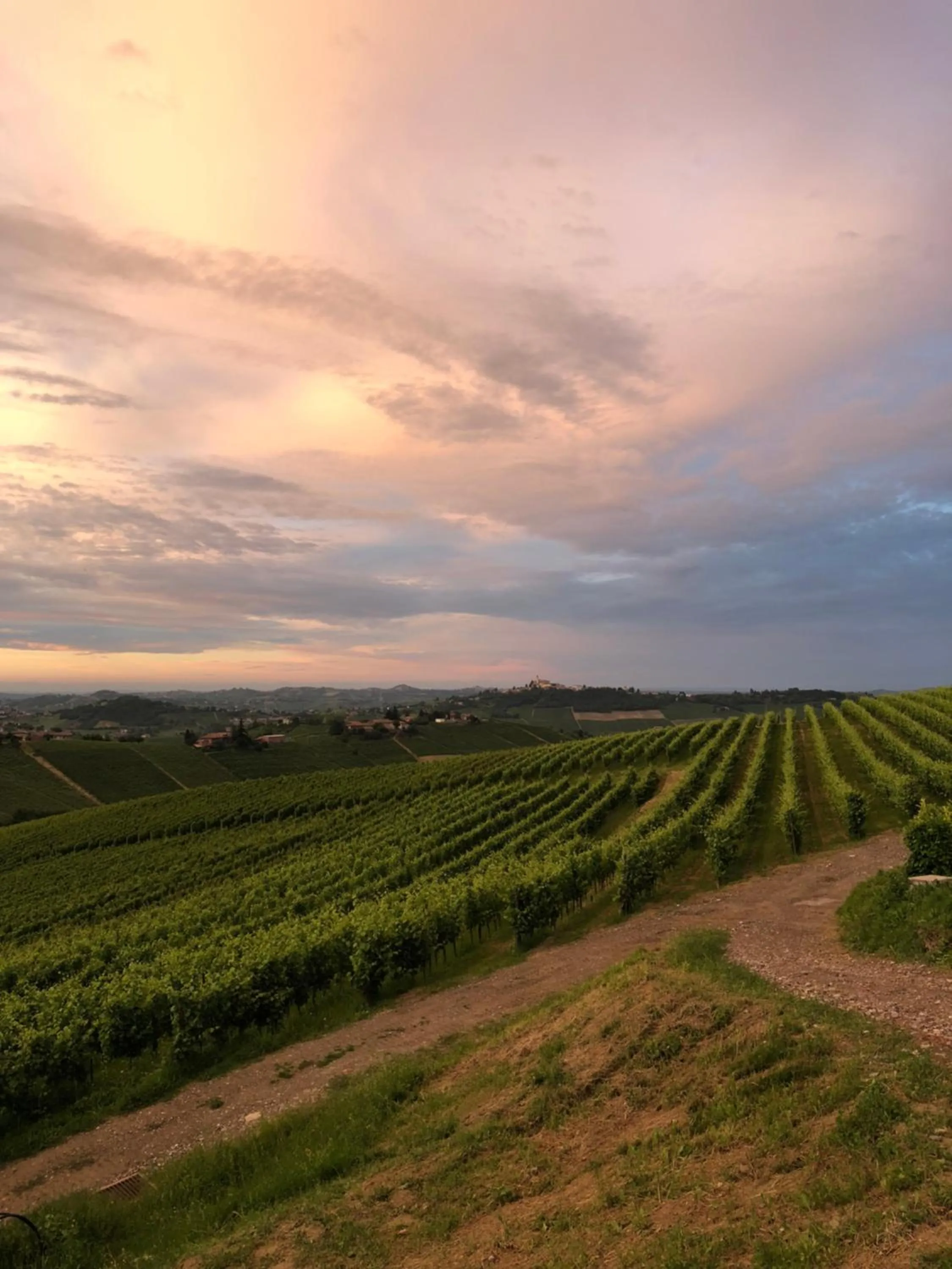 View (from property/room) in Agriturismo La Casa in Collina