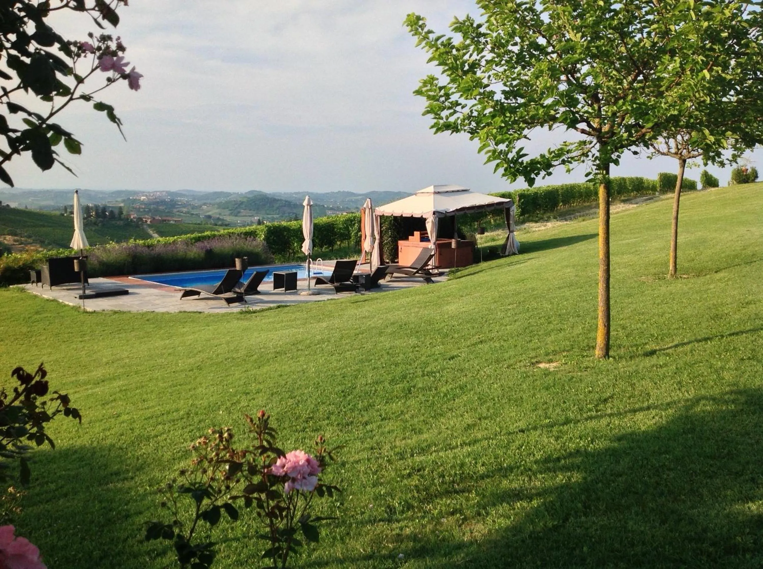 View (from property/room) in Agriturismo La Casa in Collina