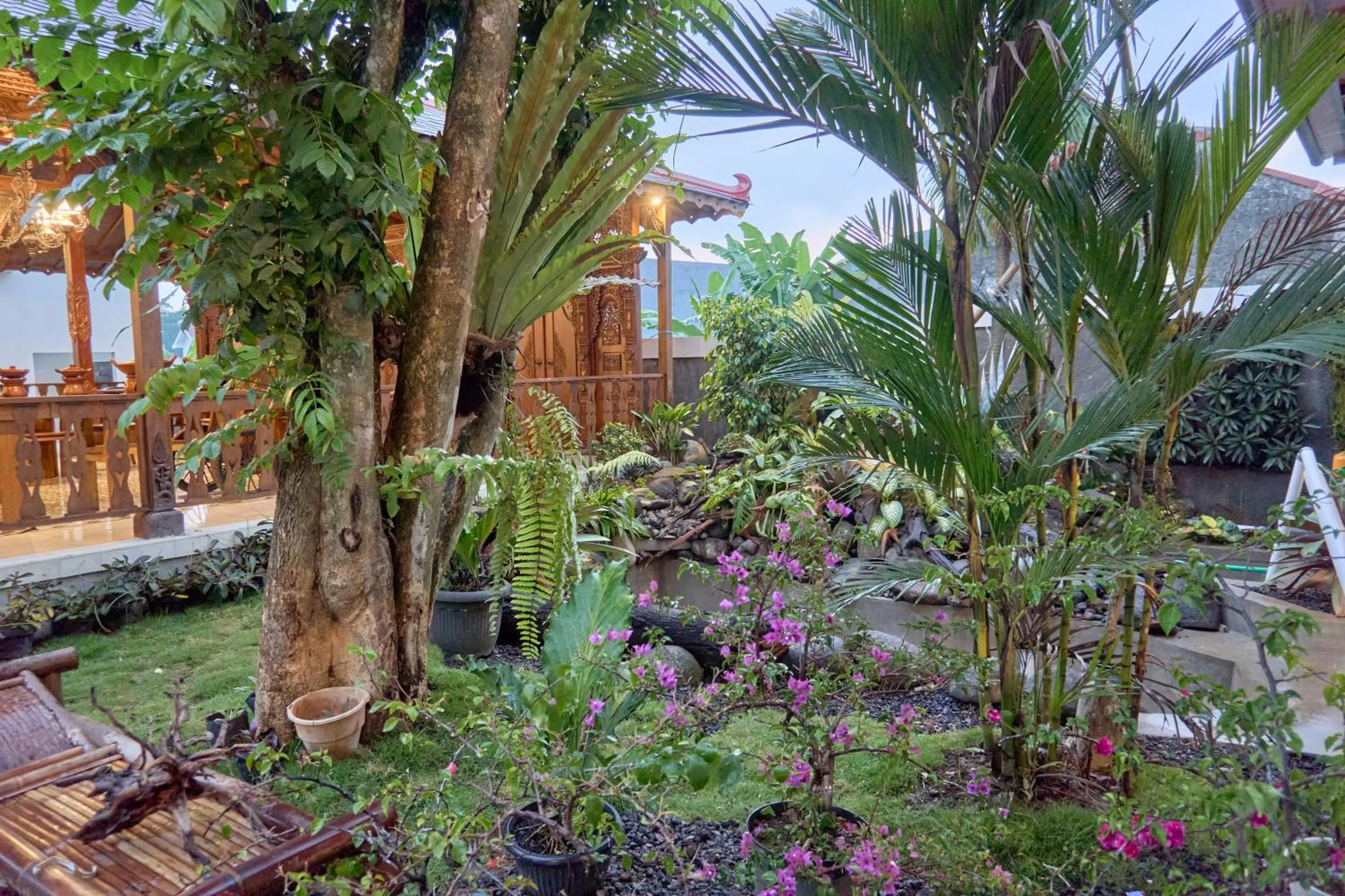 Garden view in Sakanti Inn Wonosobo