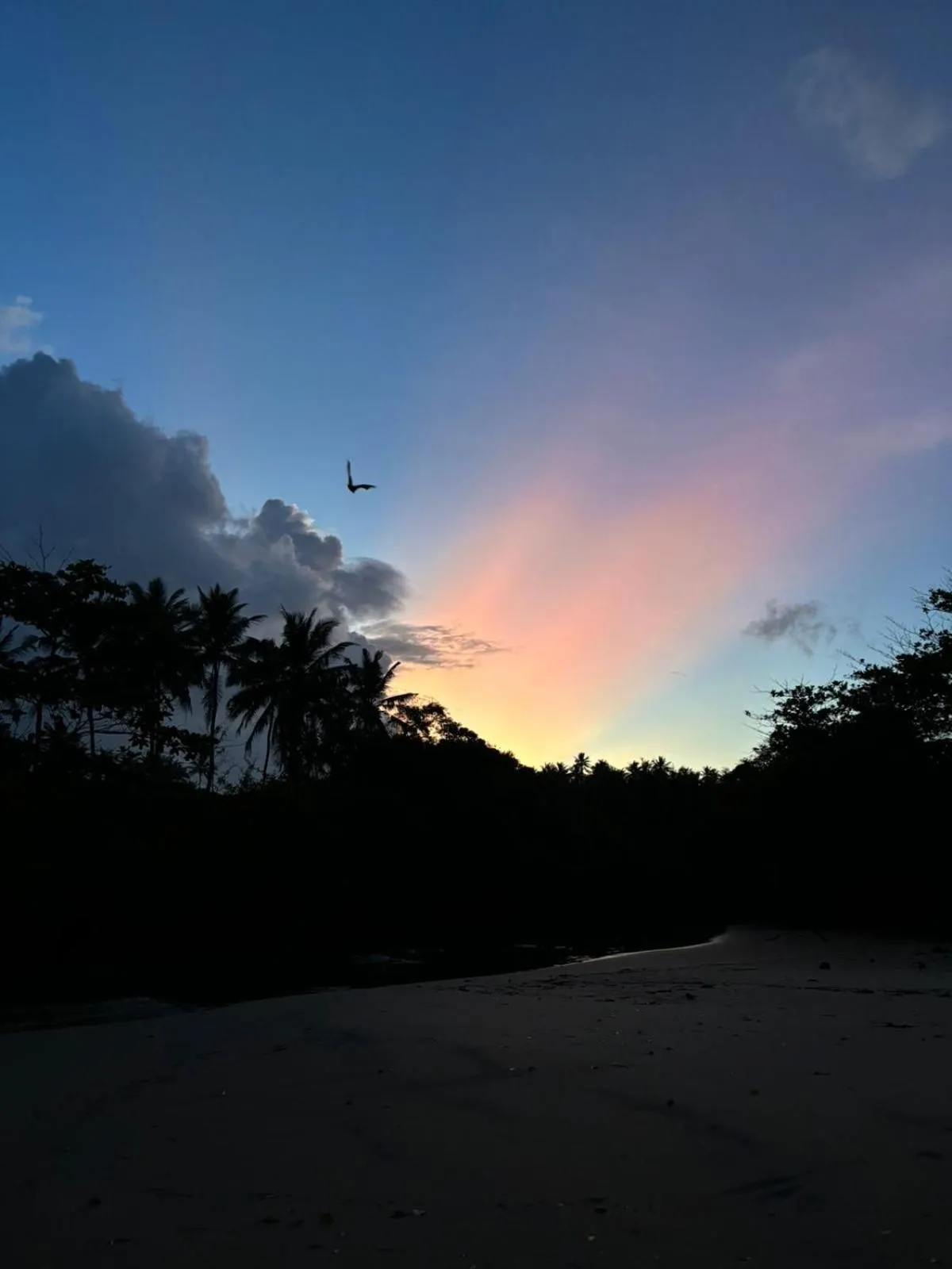 Coconut Palm beach restaurant and rooms