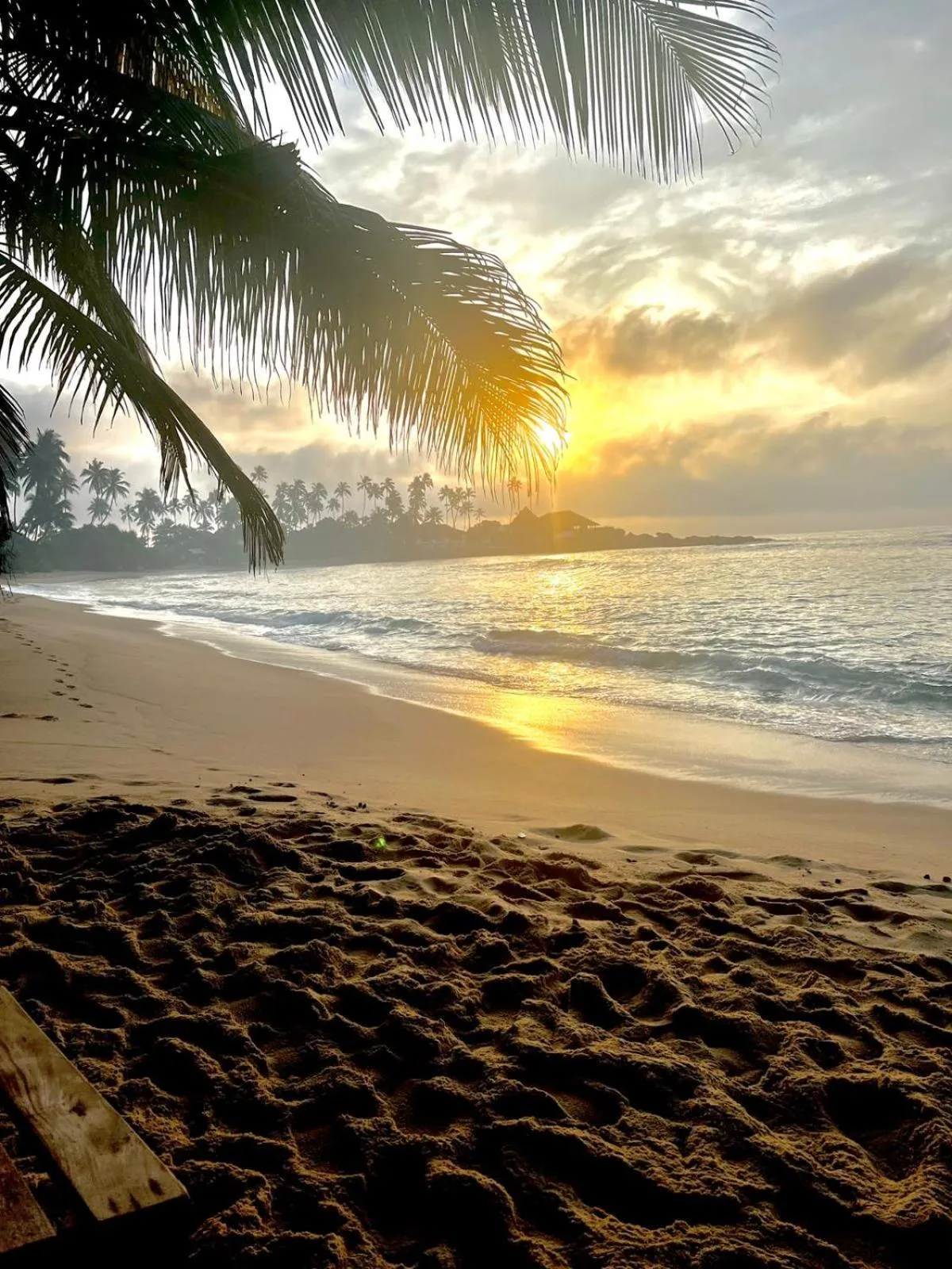 Coconut Palm beach restaurant and rooms