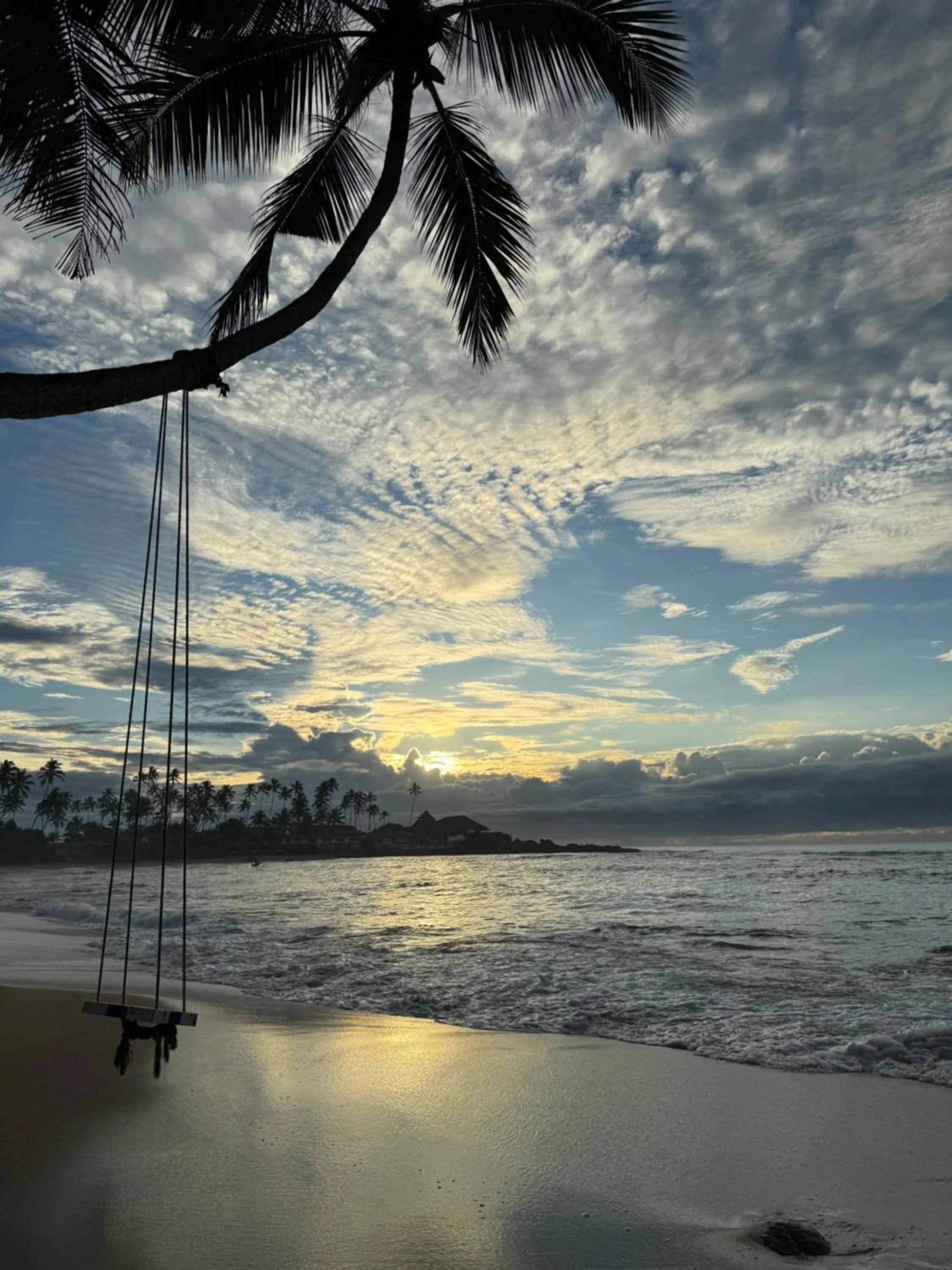Natural landscape in Coconut Palm beach restaurant and rooms