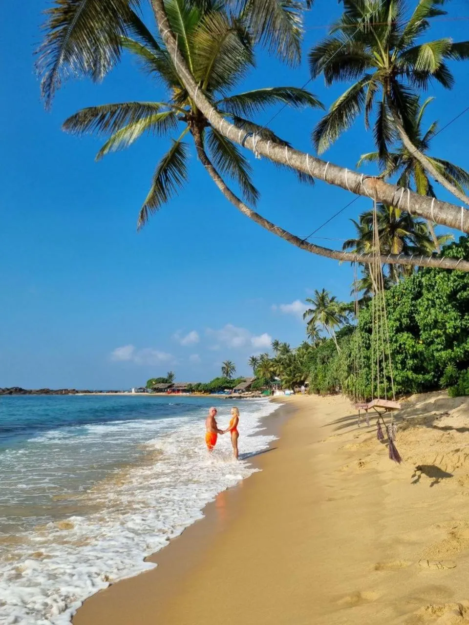 Coconut Palm beach restaurant and rooms