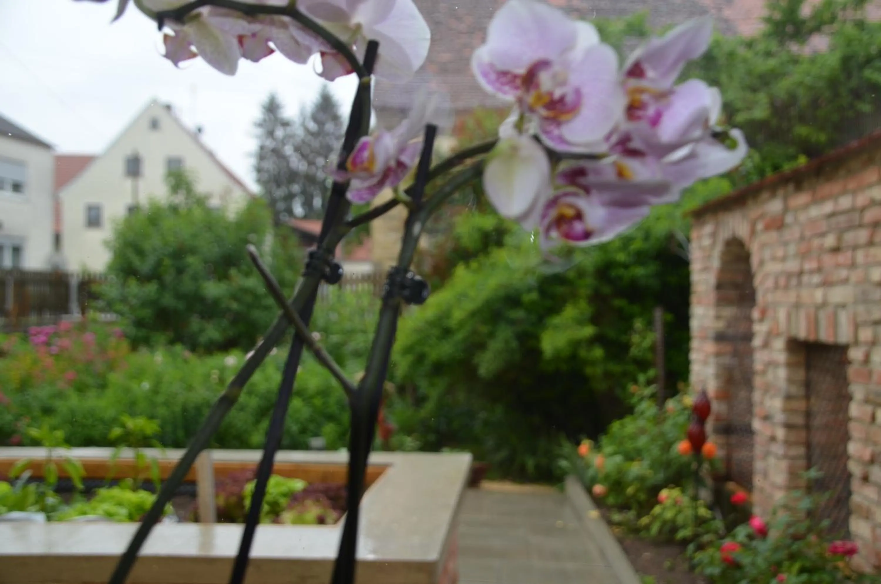 Garden in Landhotel Zum Adler